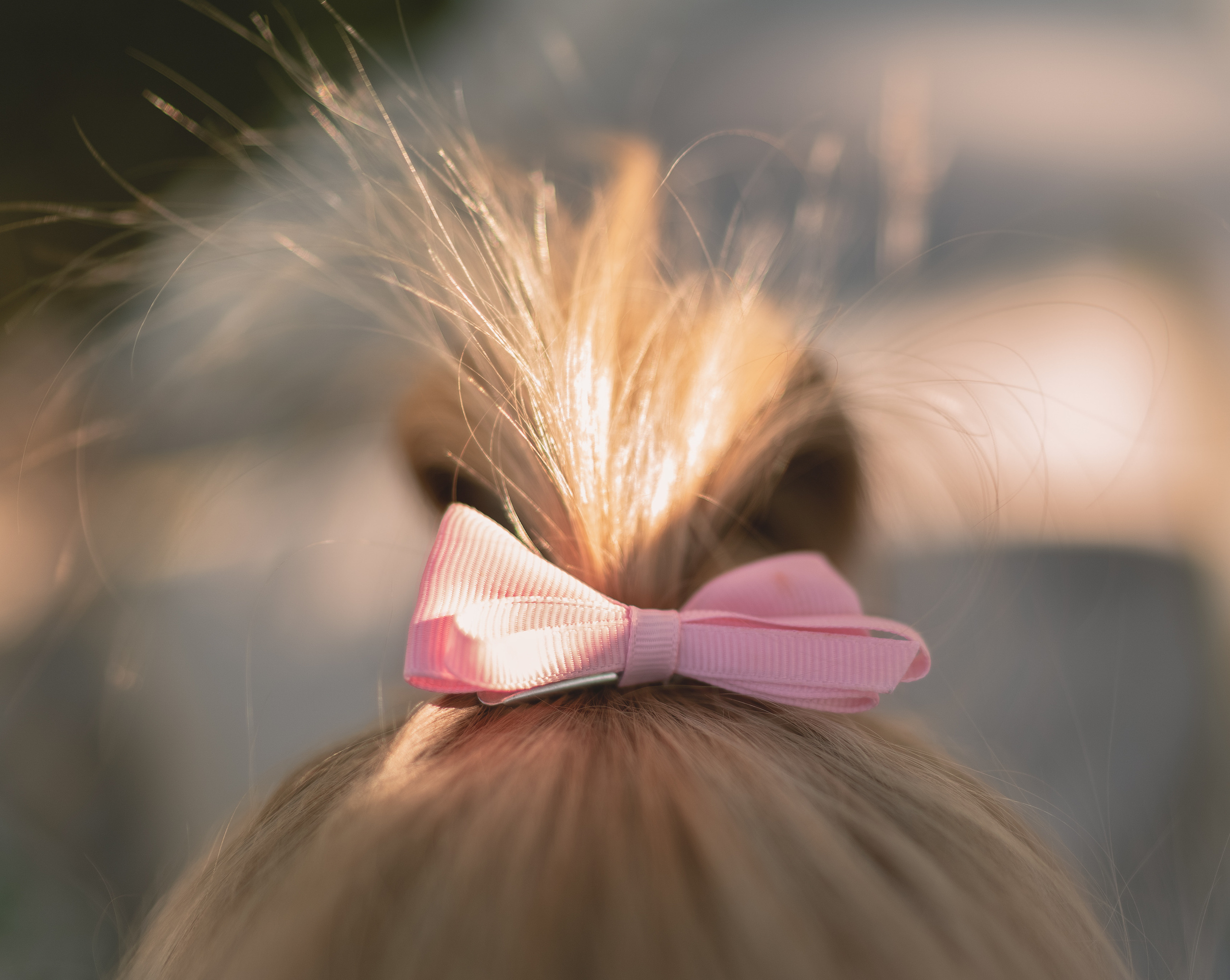 Sommer Picknick. Familien, Lifestyle und Portrait Fotografin in Trier, Luxembourg