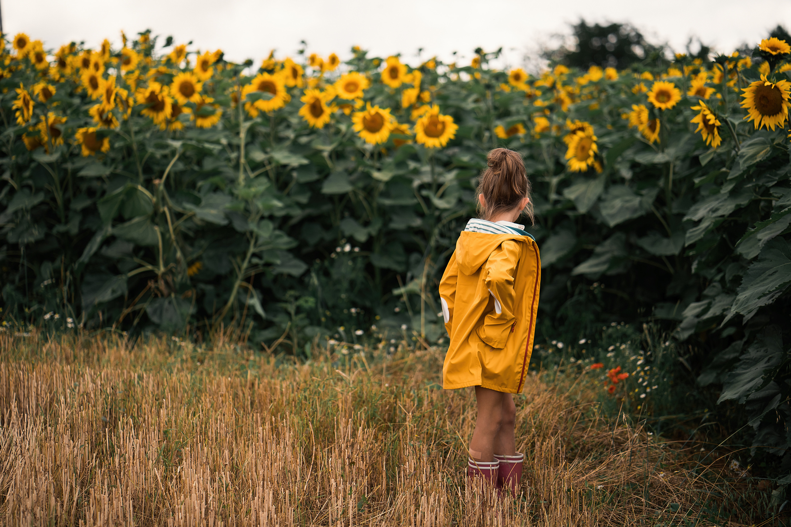 Sonnenblumen. Familien, Lifestyle und Portrait Fotografin in Trier, Luxembourg