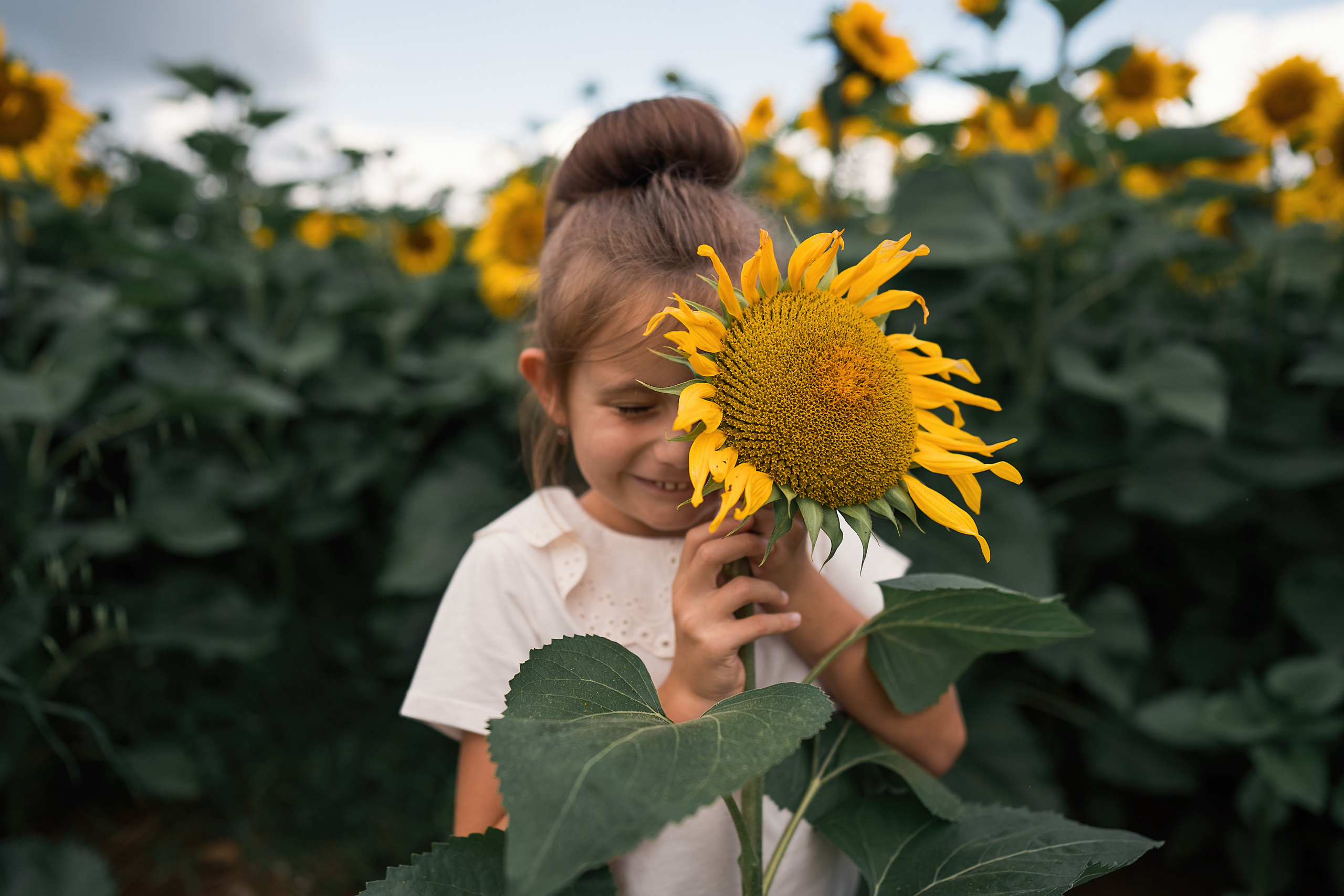 Sonnenblumen. Familien, Lifestyle und Portrait Fotografin in Trier, Luxembourg
