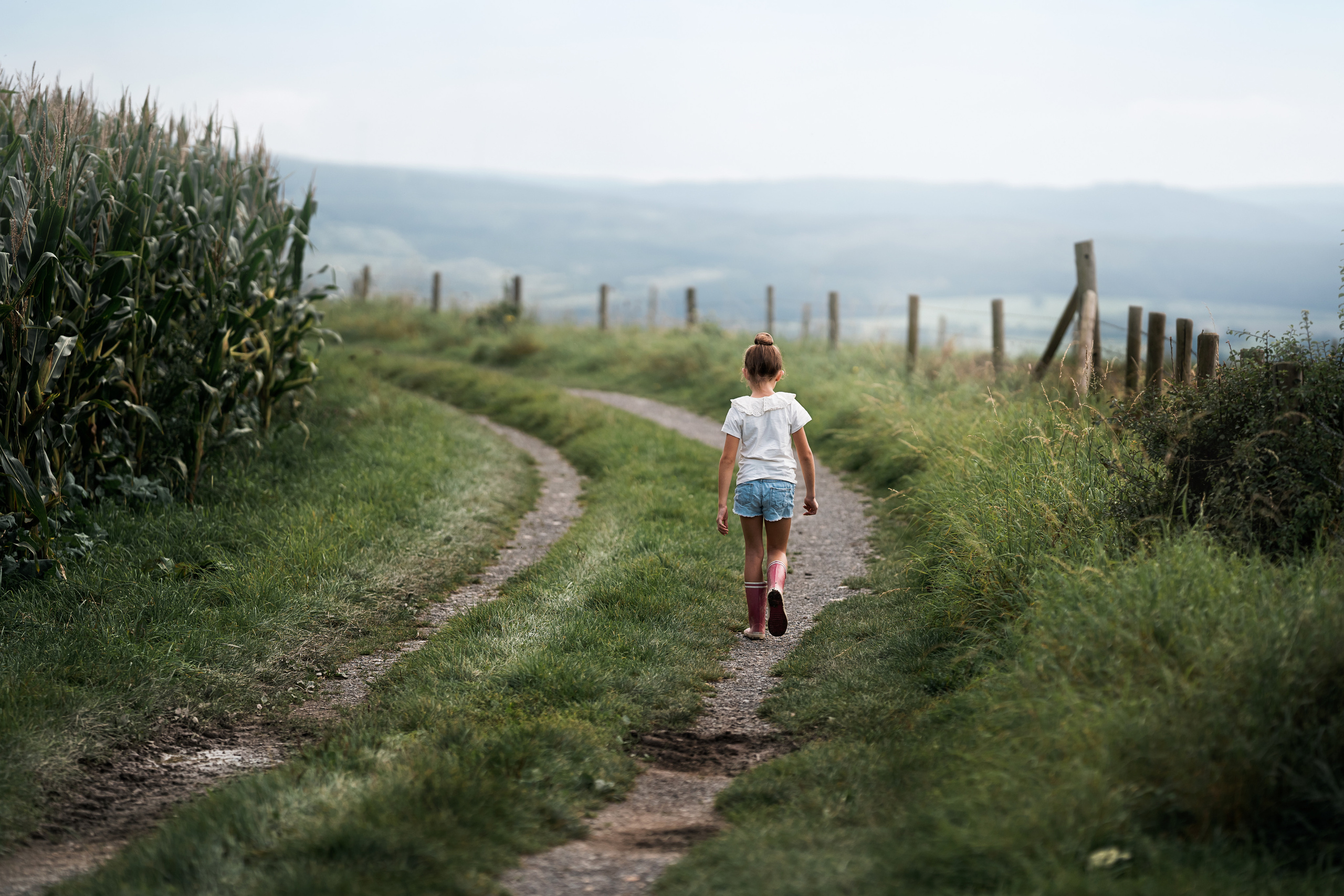 Кукурузные поля. Семейный, детский и женский фотограф в Германии, Трире