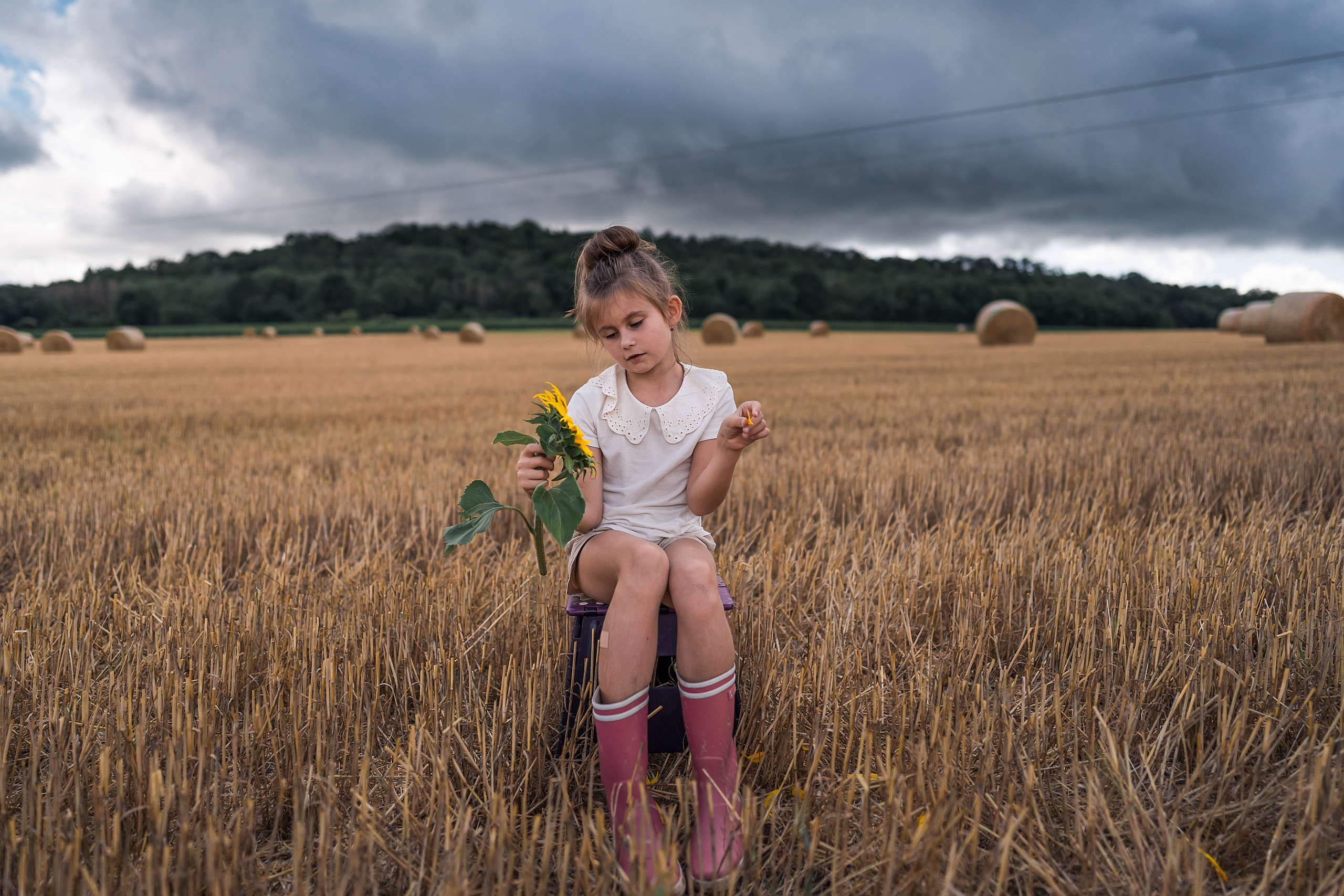 Sonnenblumen. Familien, Lifestyle und Portrait Fotografin in Trier, Luxembourg