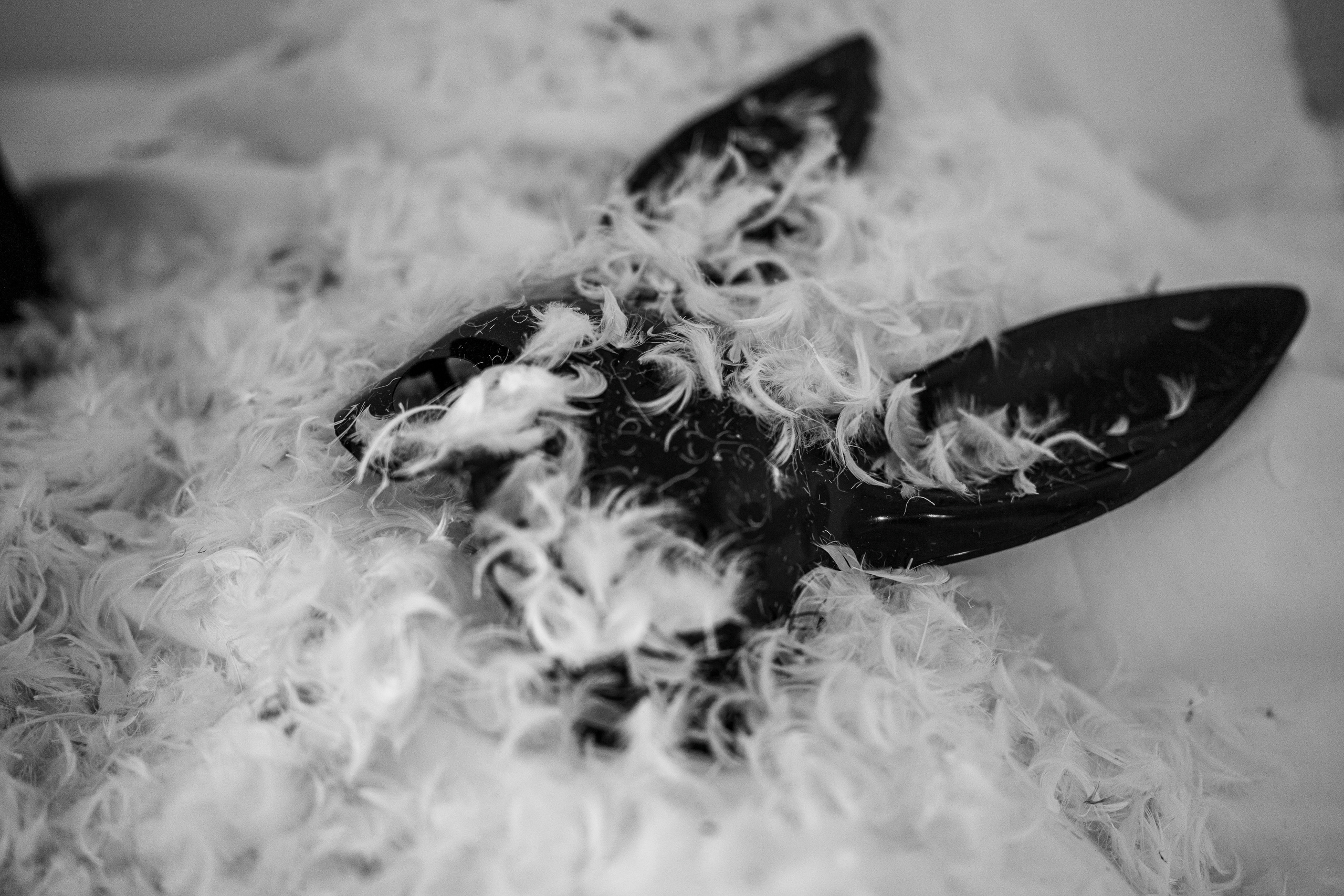 Sinnlichkeit und Spass. Familien, Lifestyle und Portrait Fotografin in Trier, Luxembourg