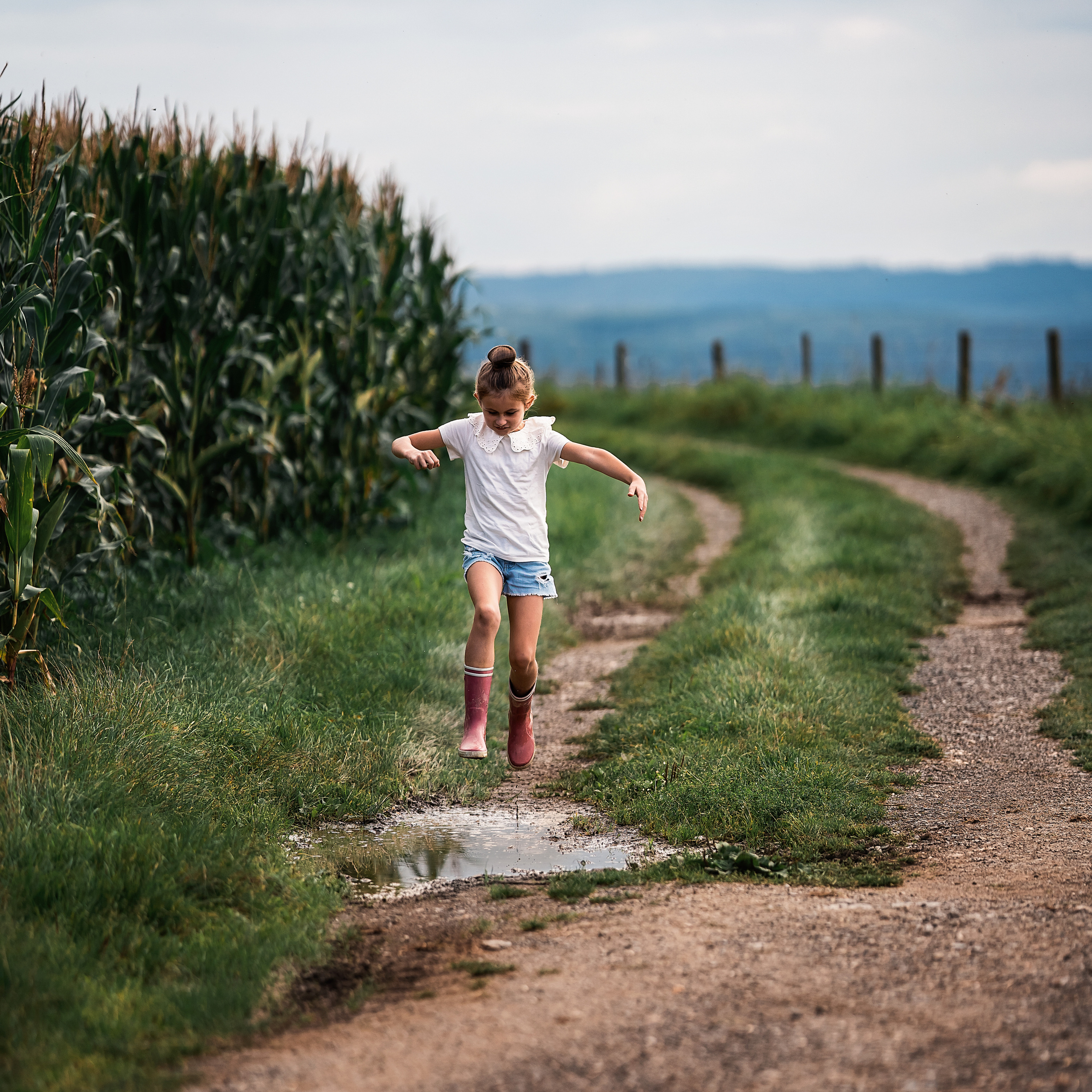 Кукурузные поля. Семейный, детский и женский фотограф в Германии, Трире