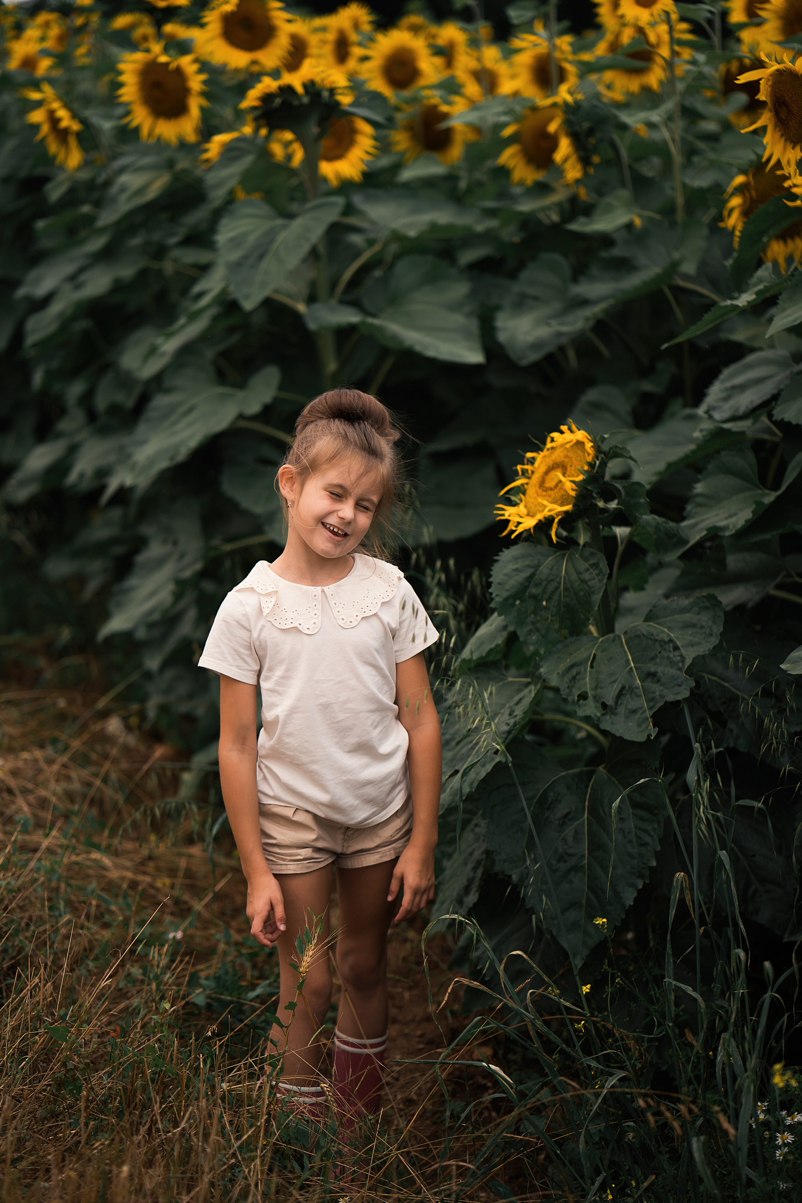 Sonnenblumen. Familien, Lifestyle und Portrait Fotografin in Trier, Luxembourg