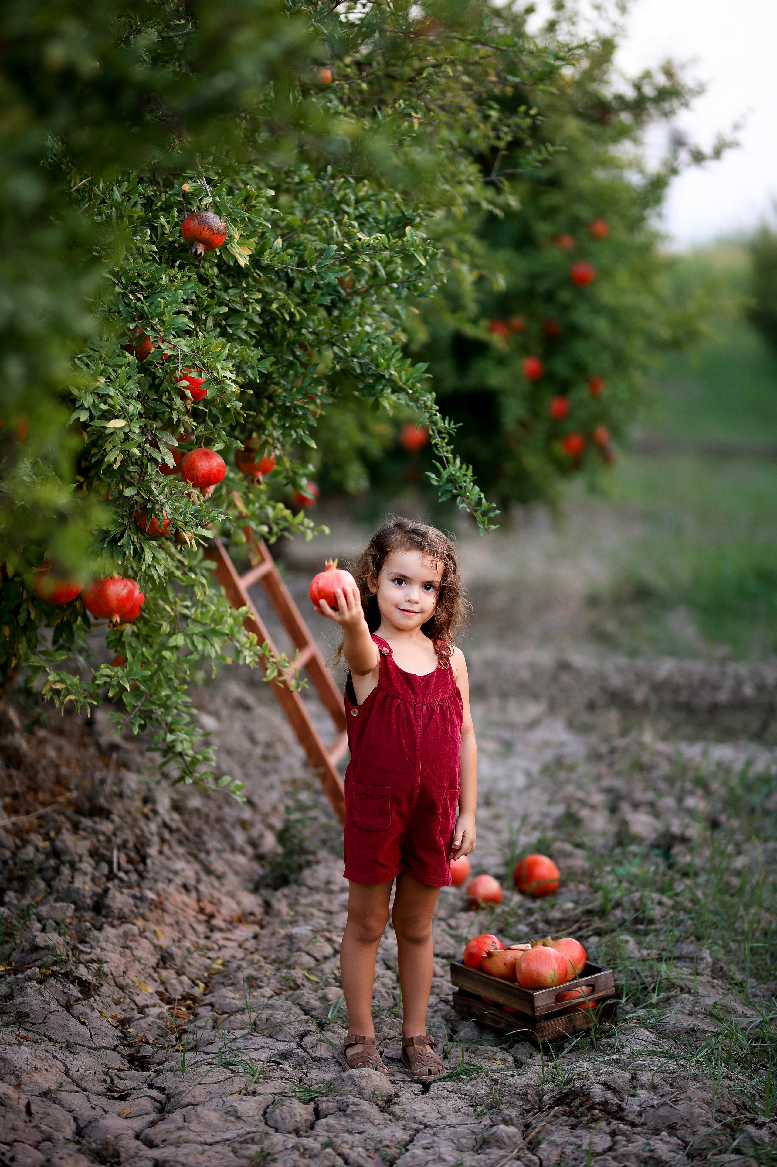 Photoshooting in pomegranate garden. Photographer in Turkey, Antalya, Kemer, Belek, Side, Kas, Fethiye