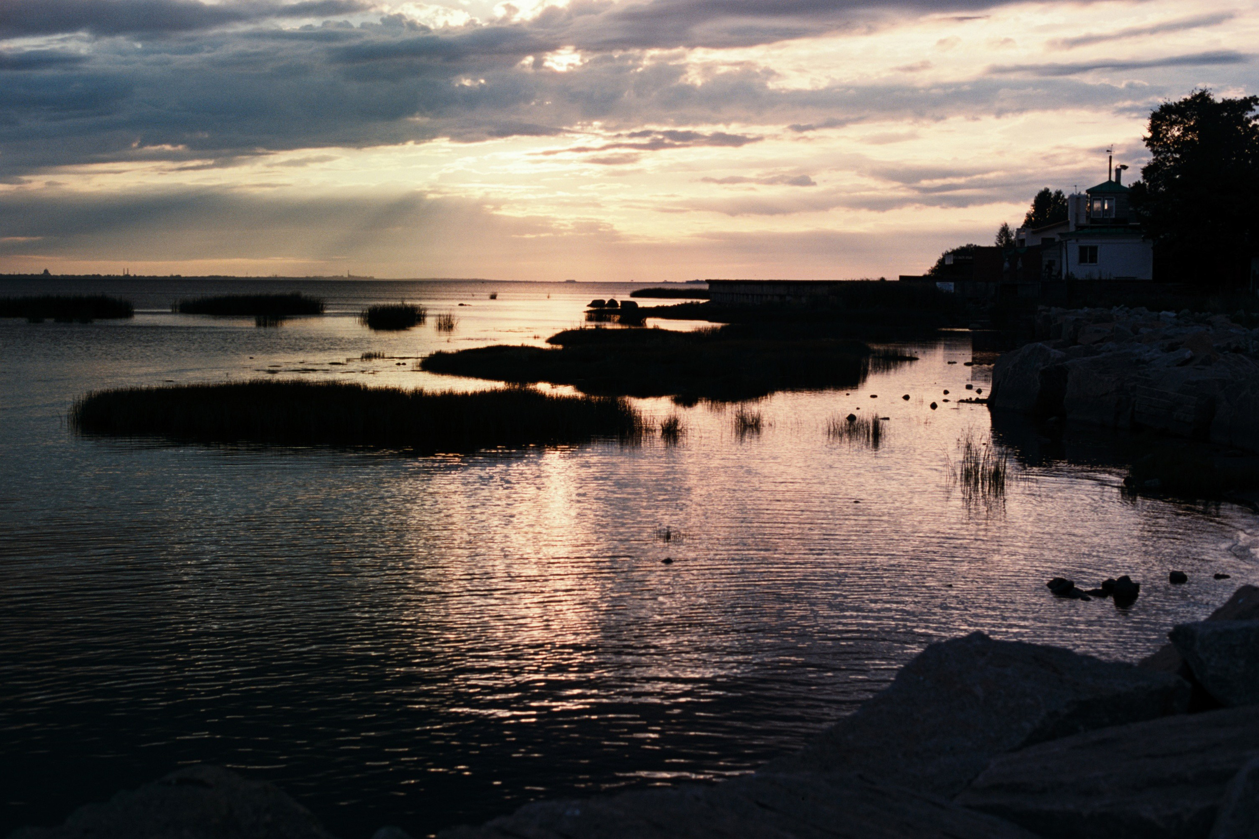 Saint-Petersburg (2020-2023)_2. Elena Zykova film photographer in London