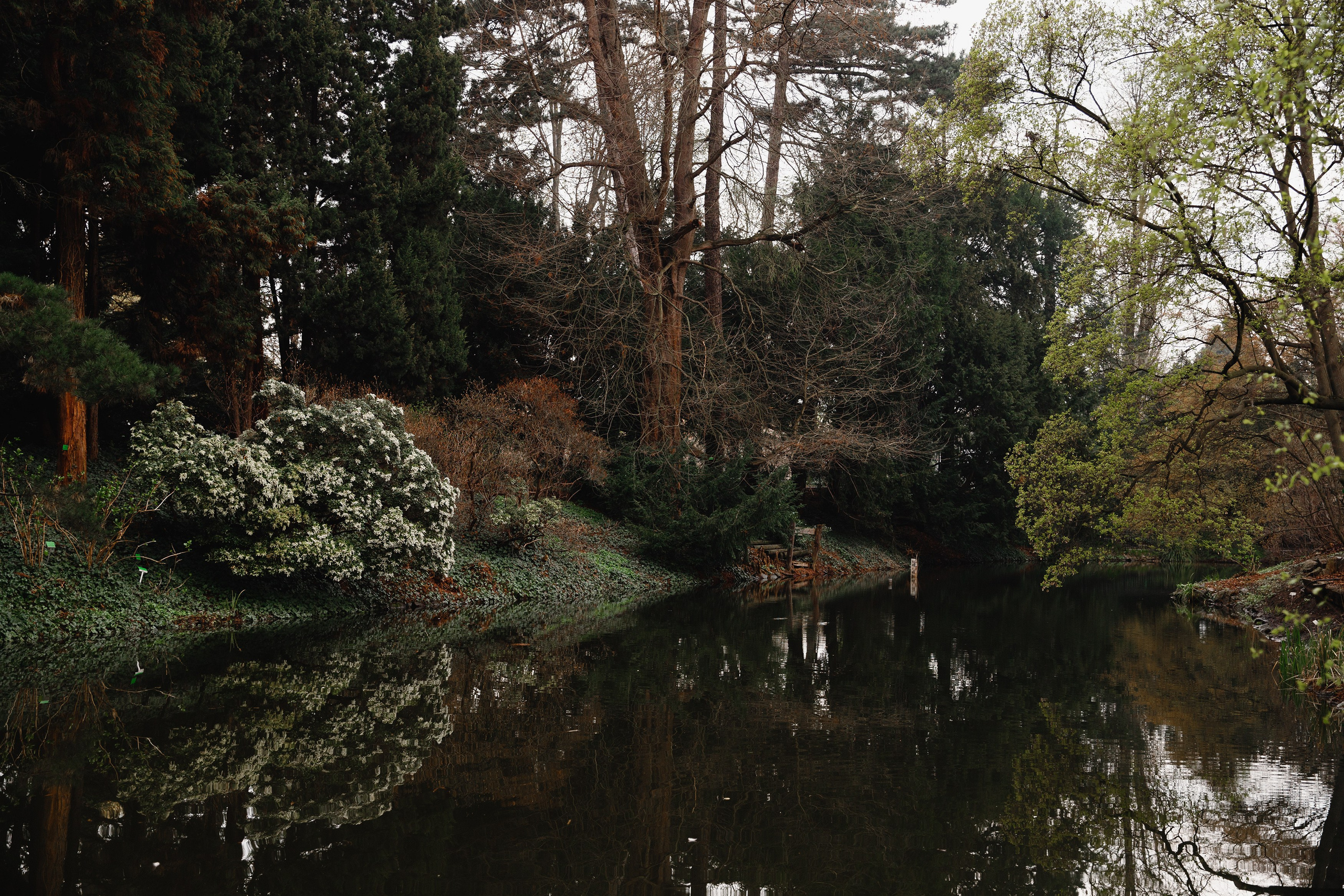 Botanical garden in Wroclaw. Kaja | fotograf we Wrocławiu | ludzie i psy