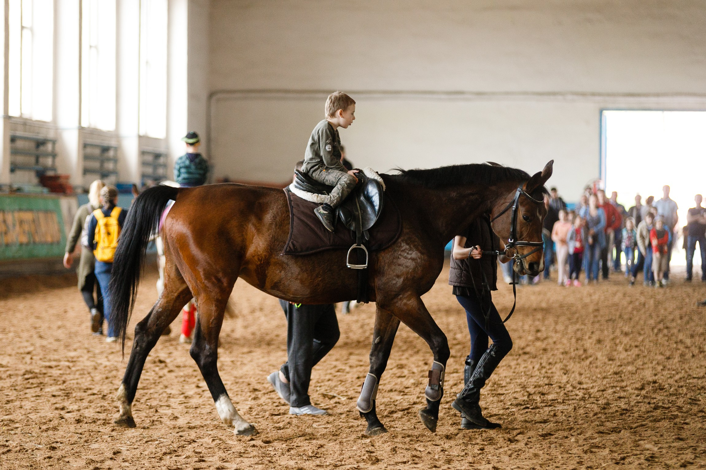 Horse winter games. Kaja | fotograf we Wrocławiu | ludzie i psy