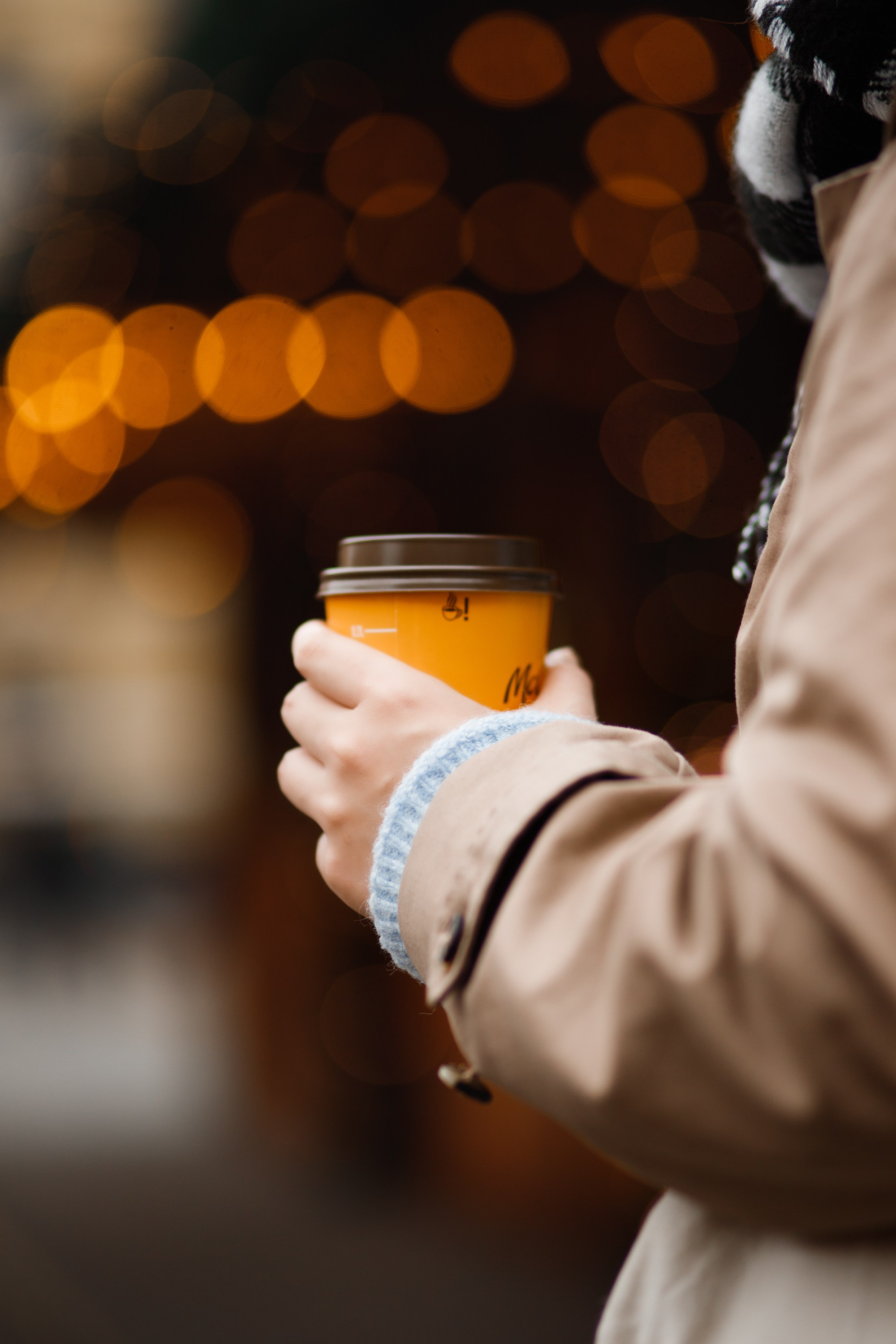 Misaki at christmas market. Kaja | fotograf psów we Wrocławiu