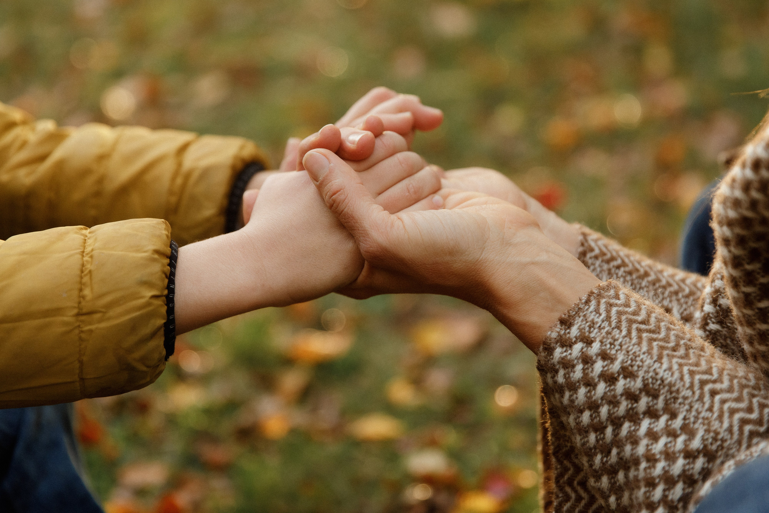 Tatiana & Adam. Kaja | fotograf psów we Wrocławiu