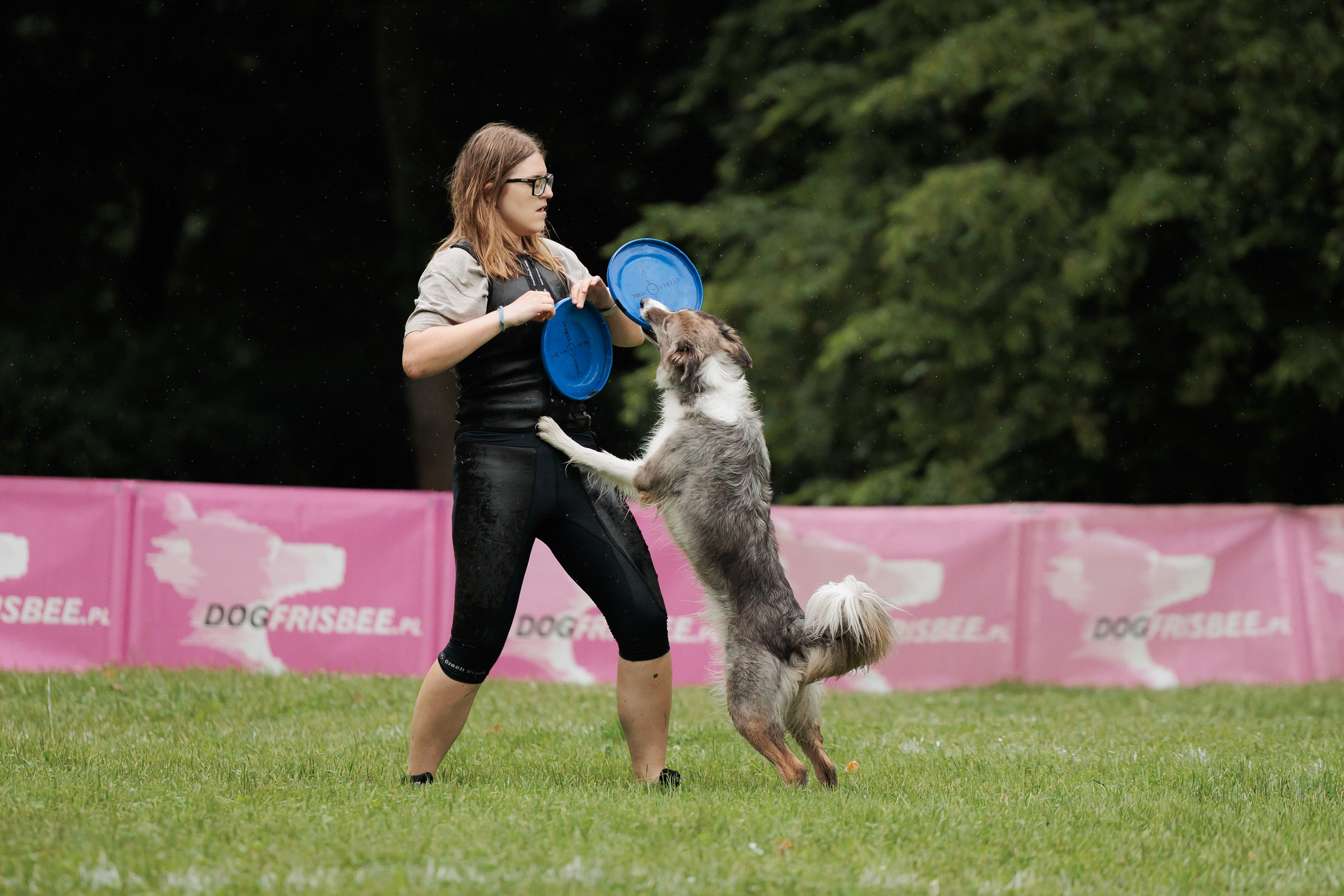 Latające psy, Wrocław'25. Kaja | fotograf psów we Wrocławiu