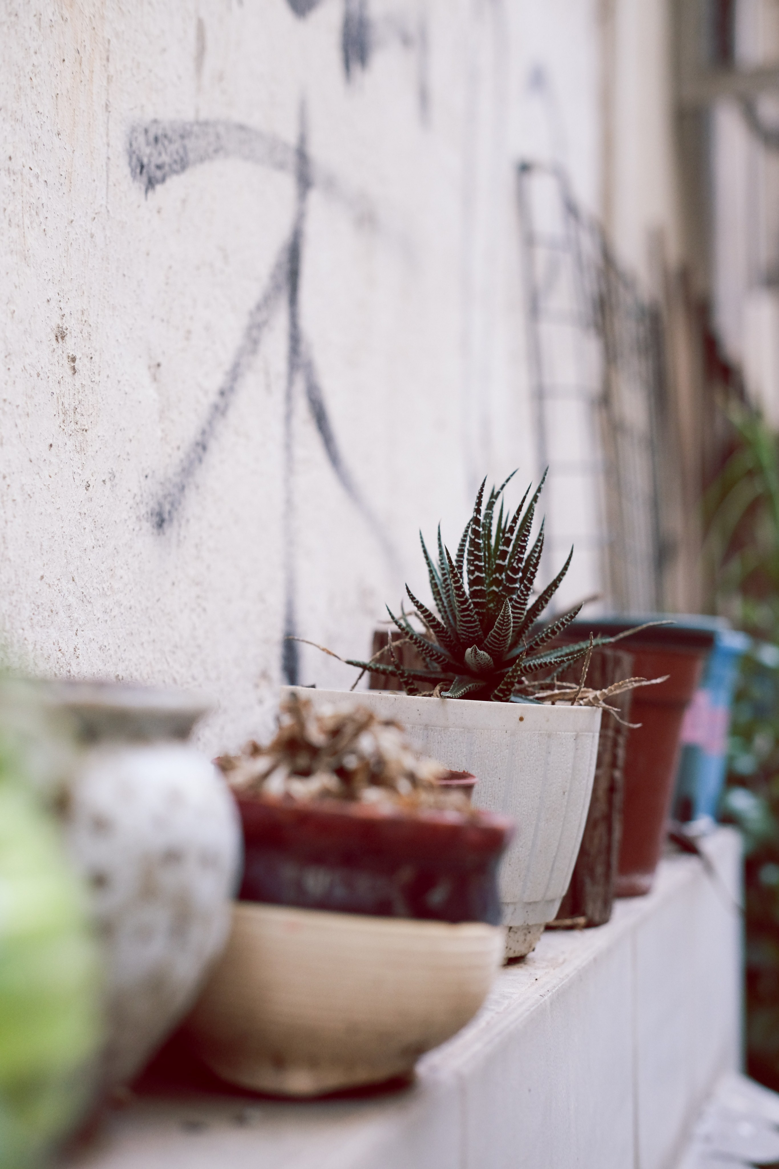 澳门街头摄影 | Yukophototography 📸 