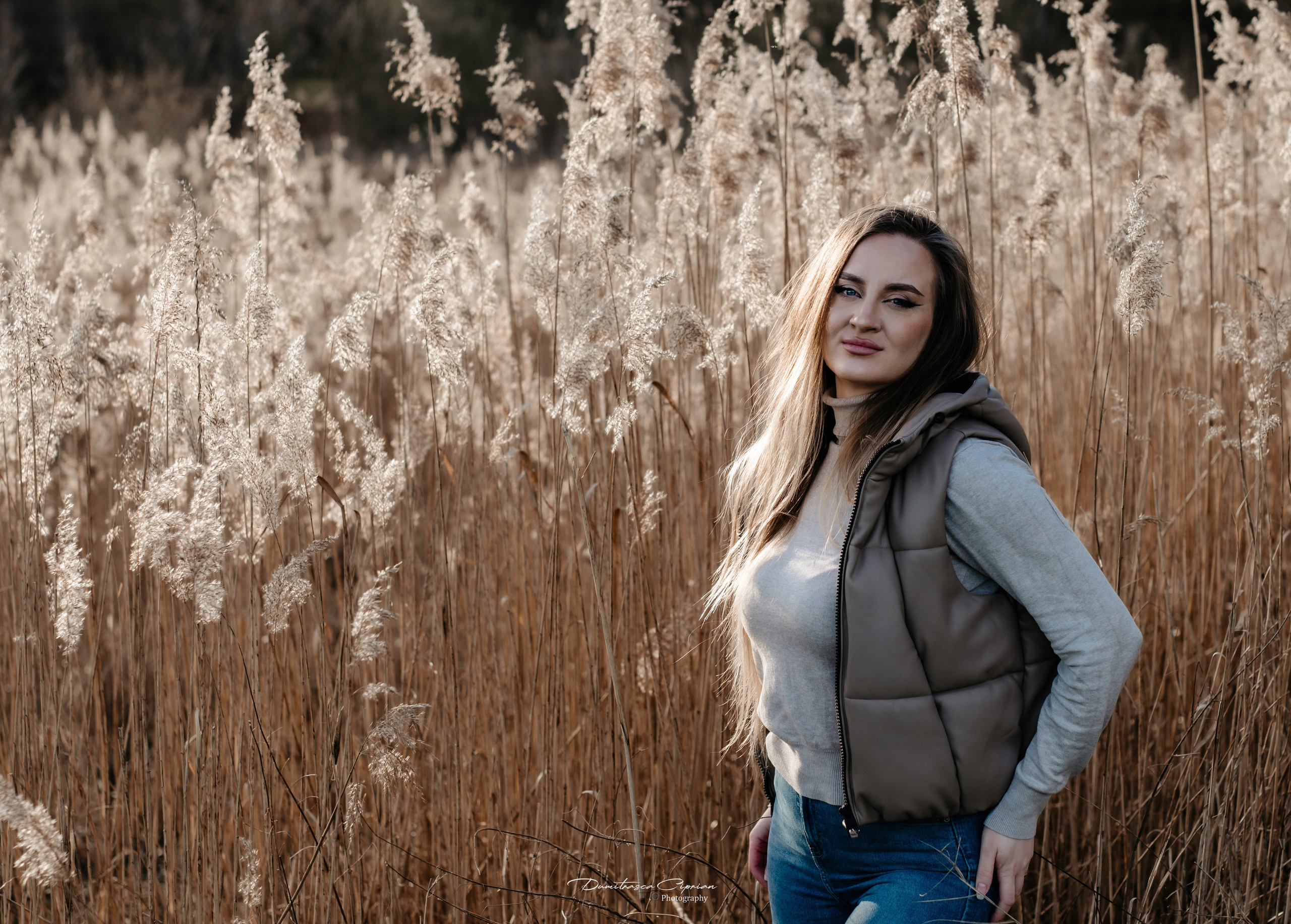 Golden Reeds. Dumitrasca Ciprian Photography