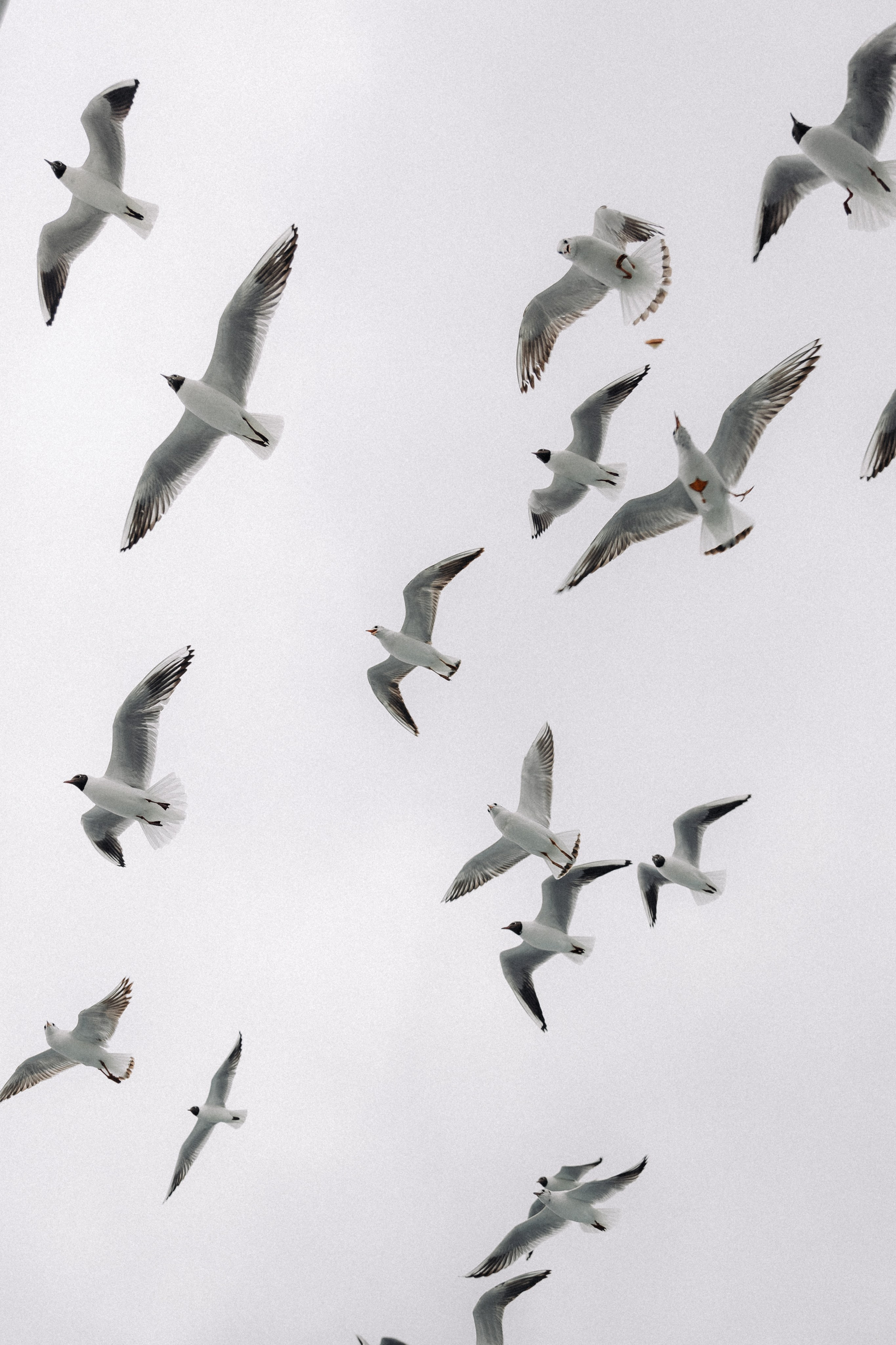 . Фотопрогулки в Стамбуле