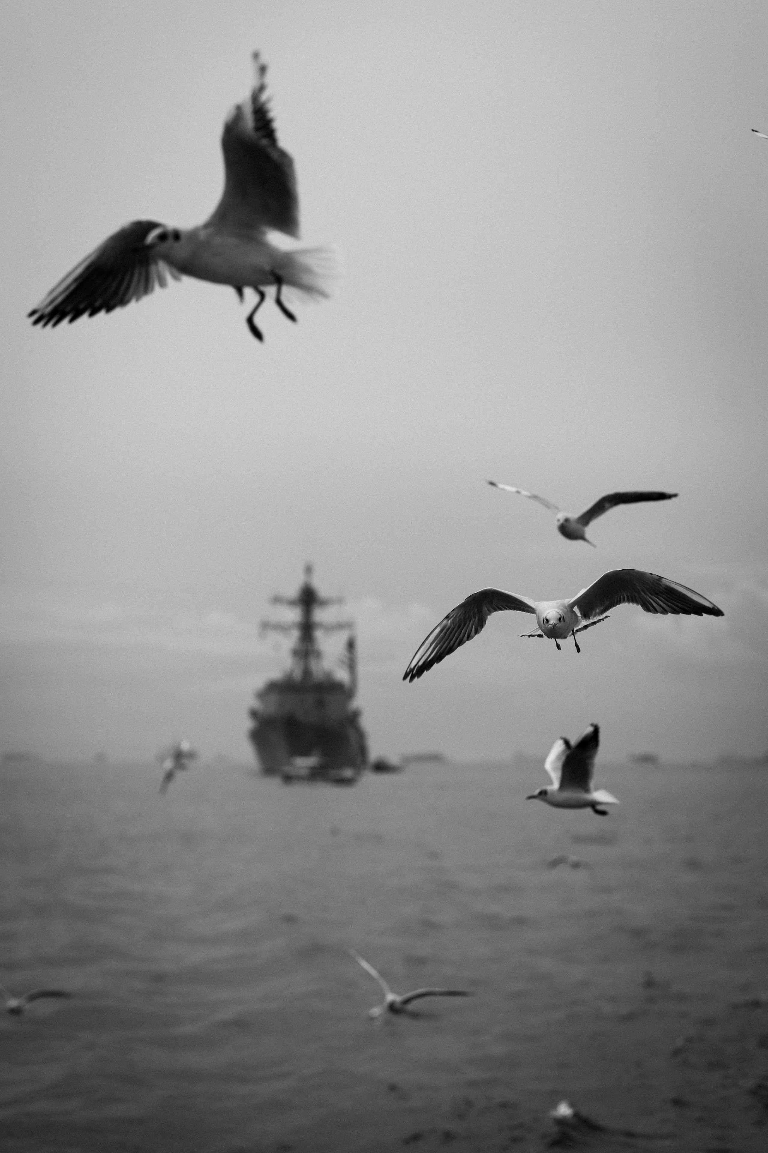 Стамбул. Фотопрогулки в Стамбуле