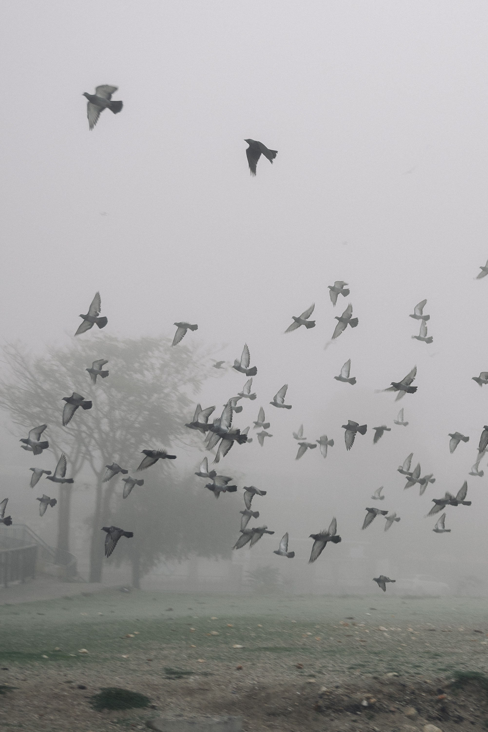 . Фотопрогулки в Стамбуле