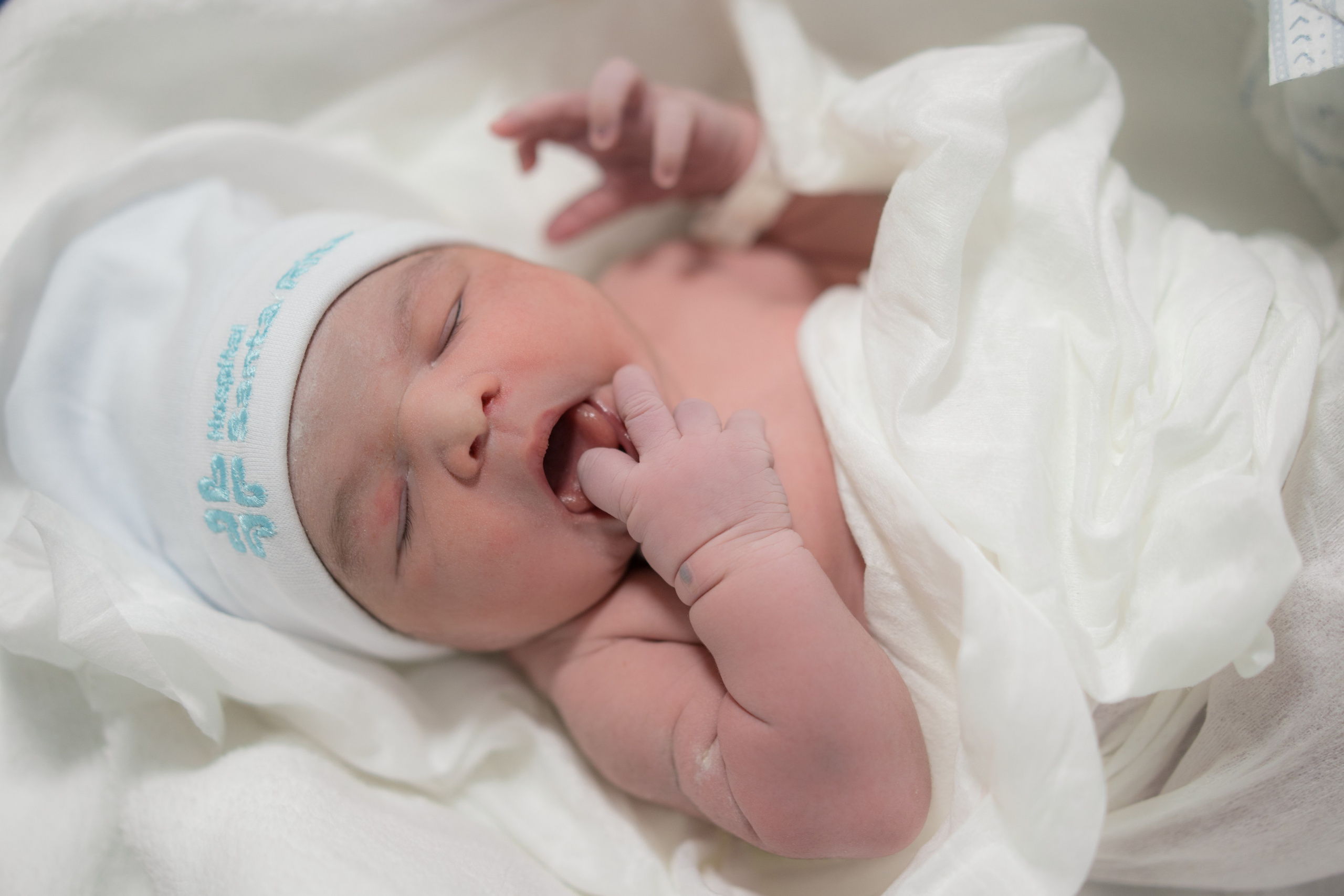 2024-10-25 | Parto — Elisa. Lembrar não é só ver. É sentir de novo