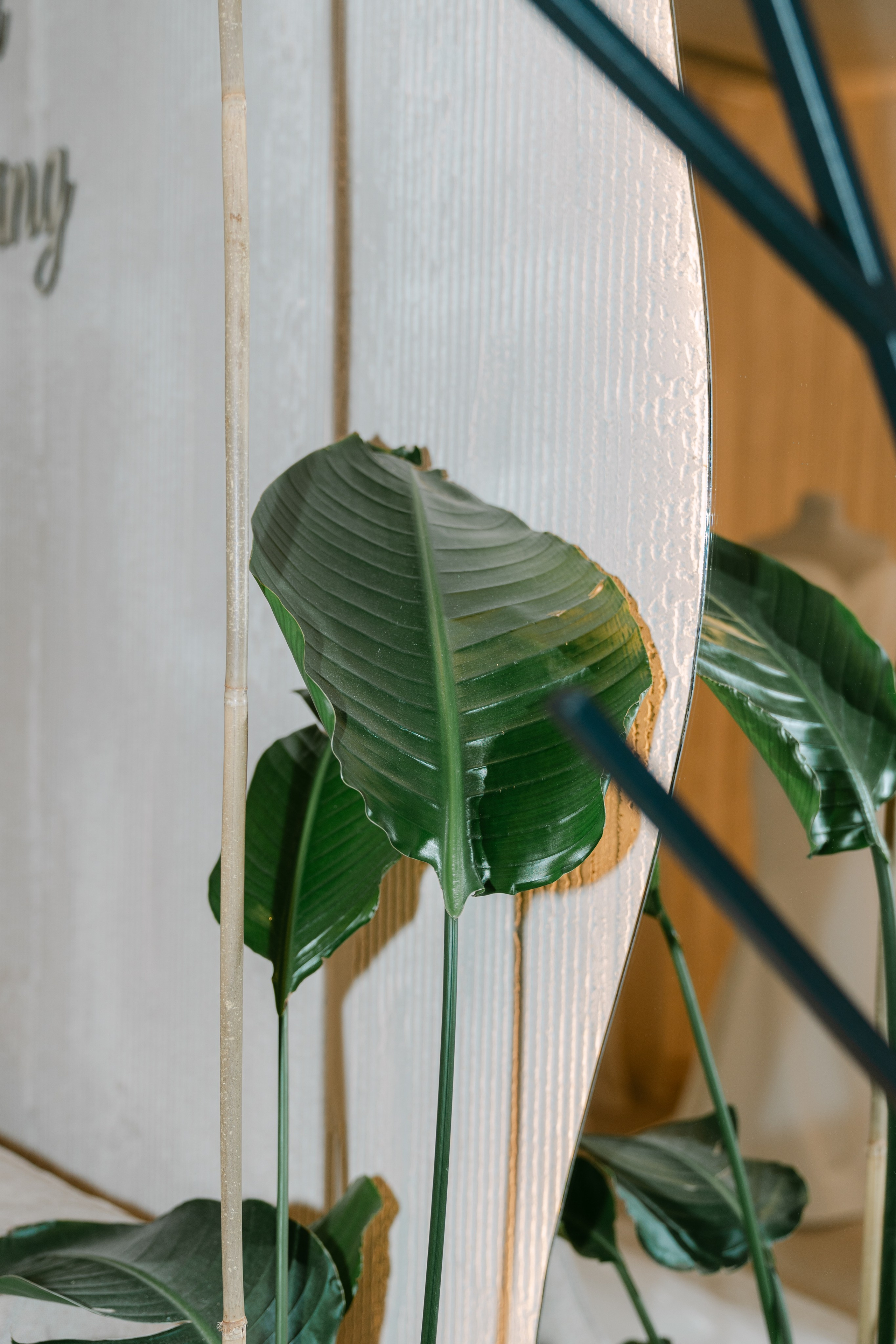 Georgiana | Stefan. Gabrielacojocariu.com