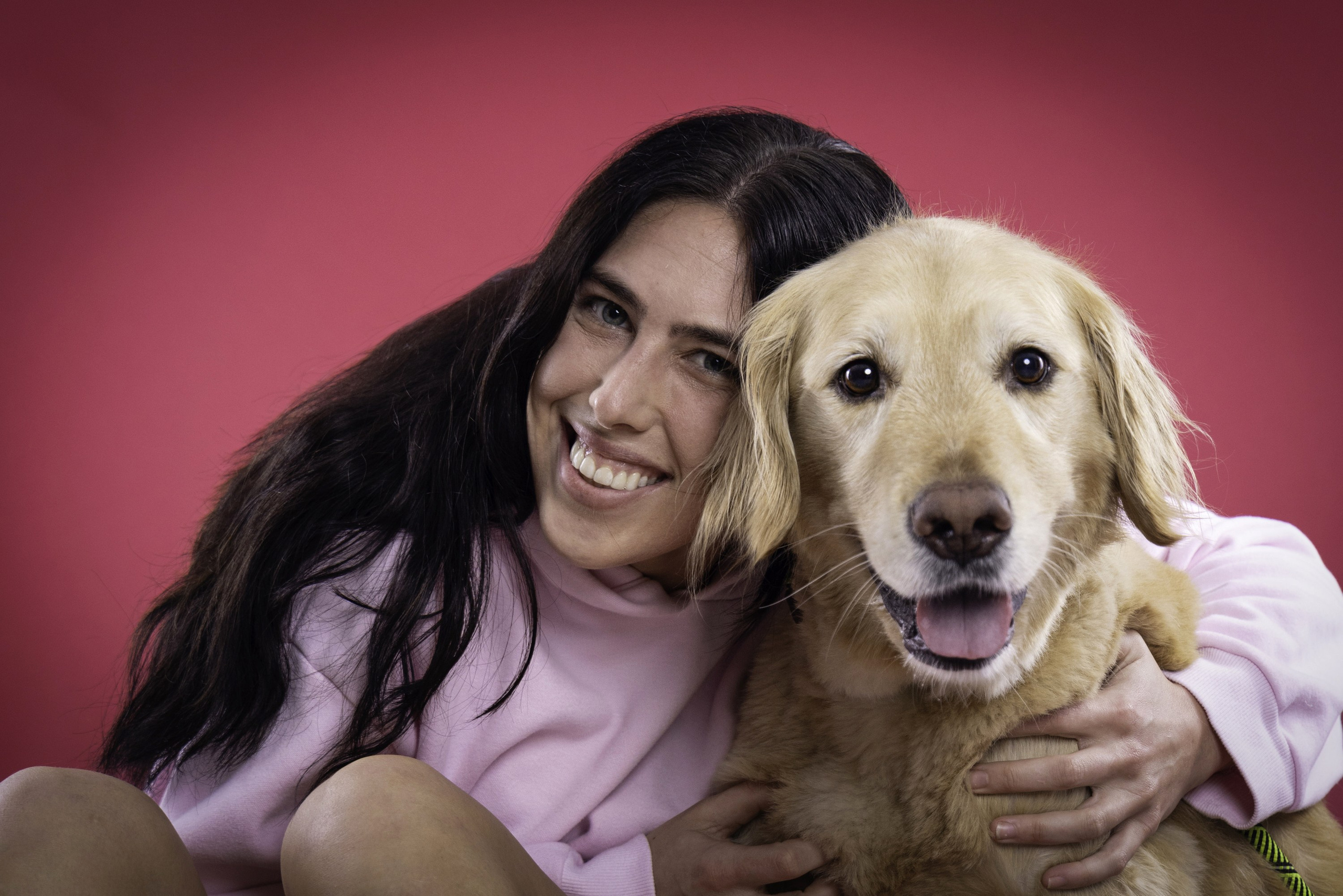 Animal de Compagnie. Studioplaza8