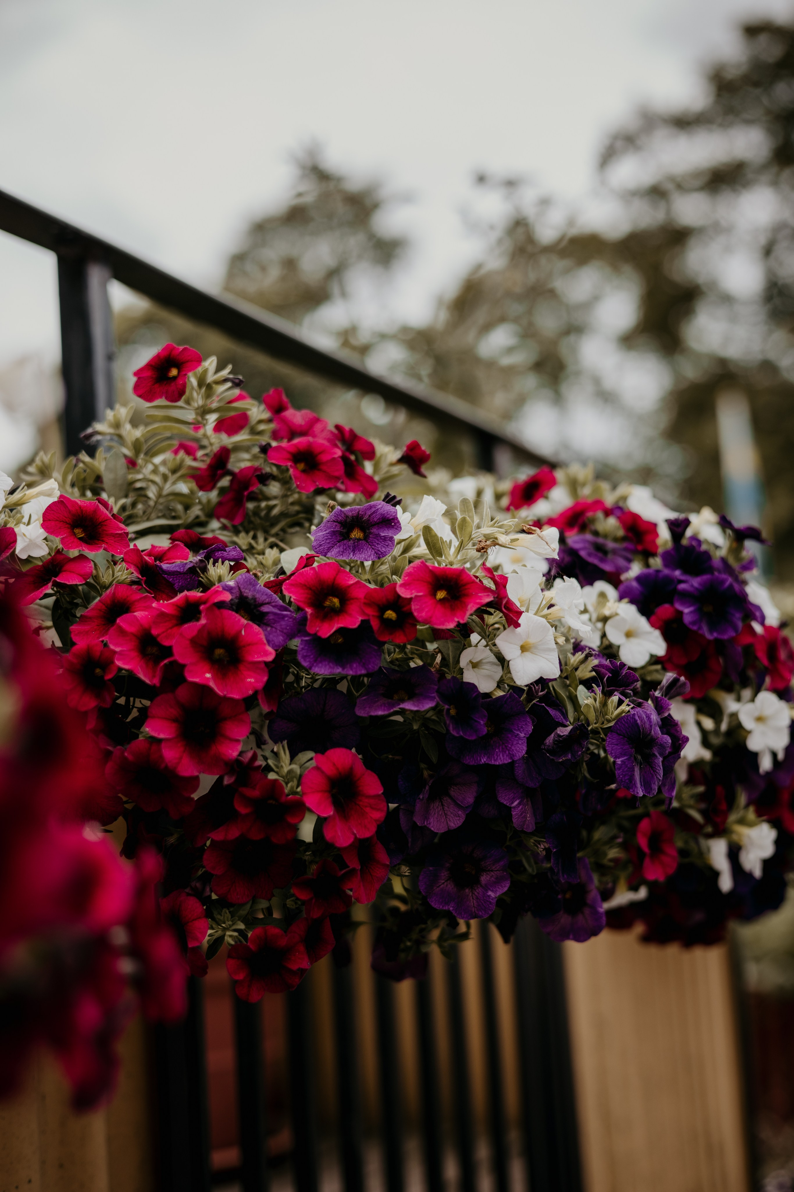 Natalia. Iryna Zhyvora | Photographer | Stockholm