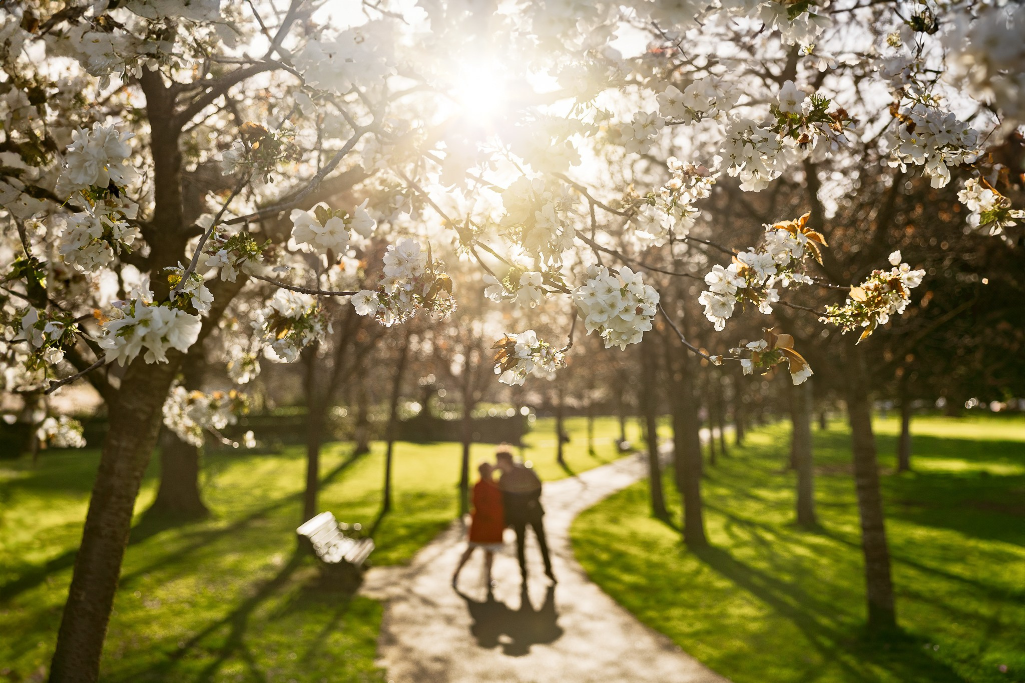 Maternity. Giandamorgana