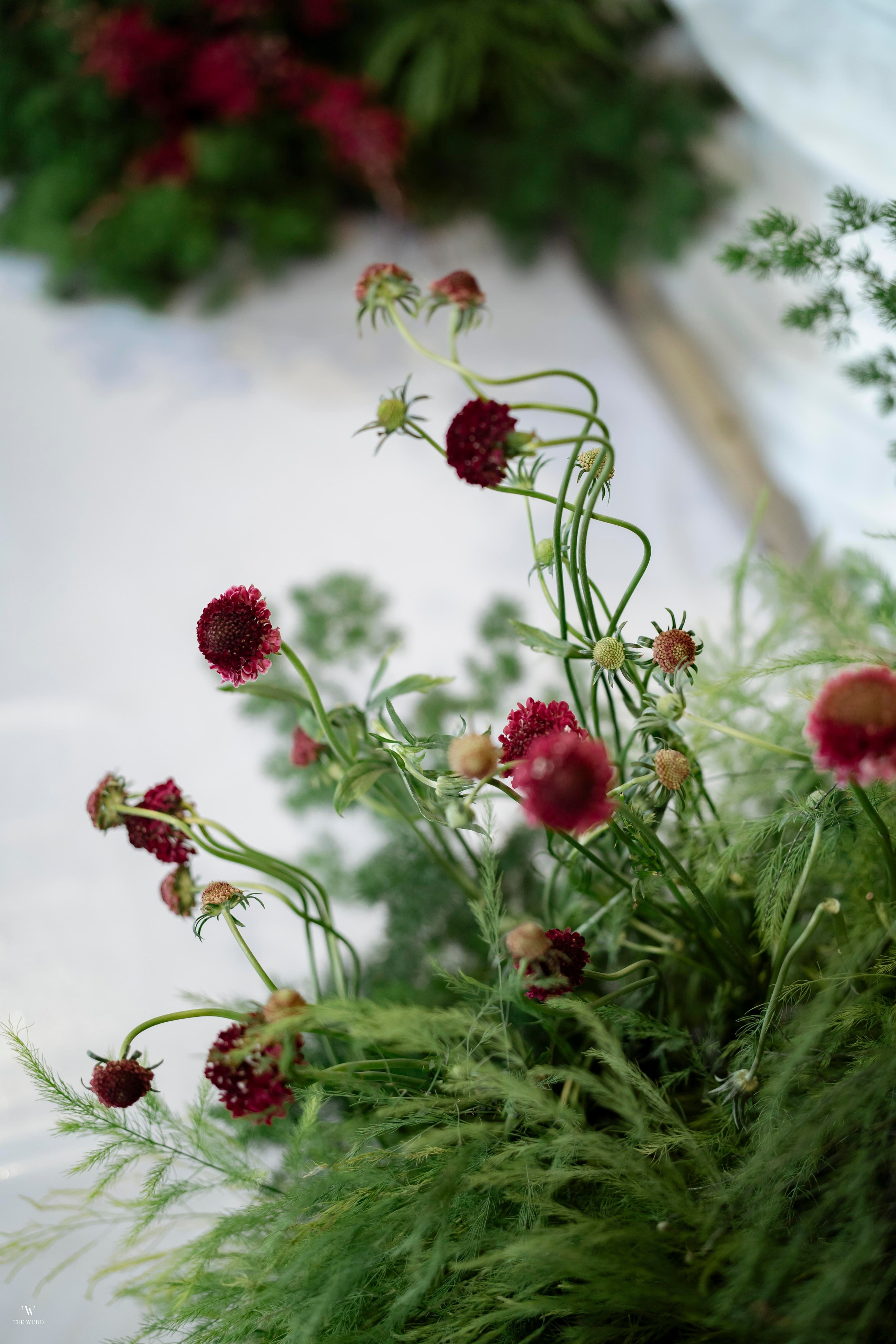 NGHIA & NGOC. WEDDING PHOTOGRAPHER IN VIETNAM