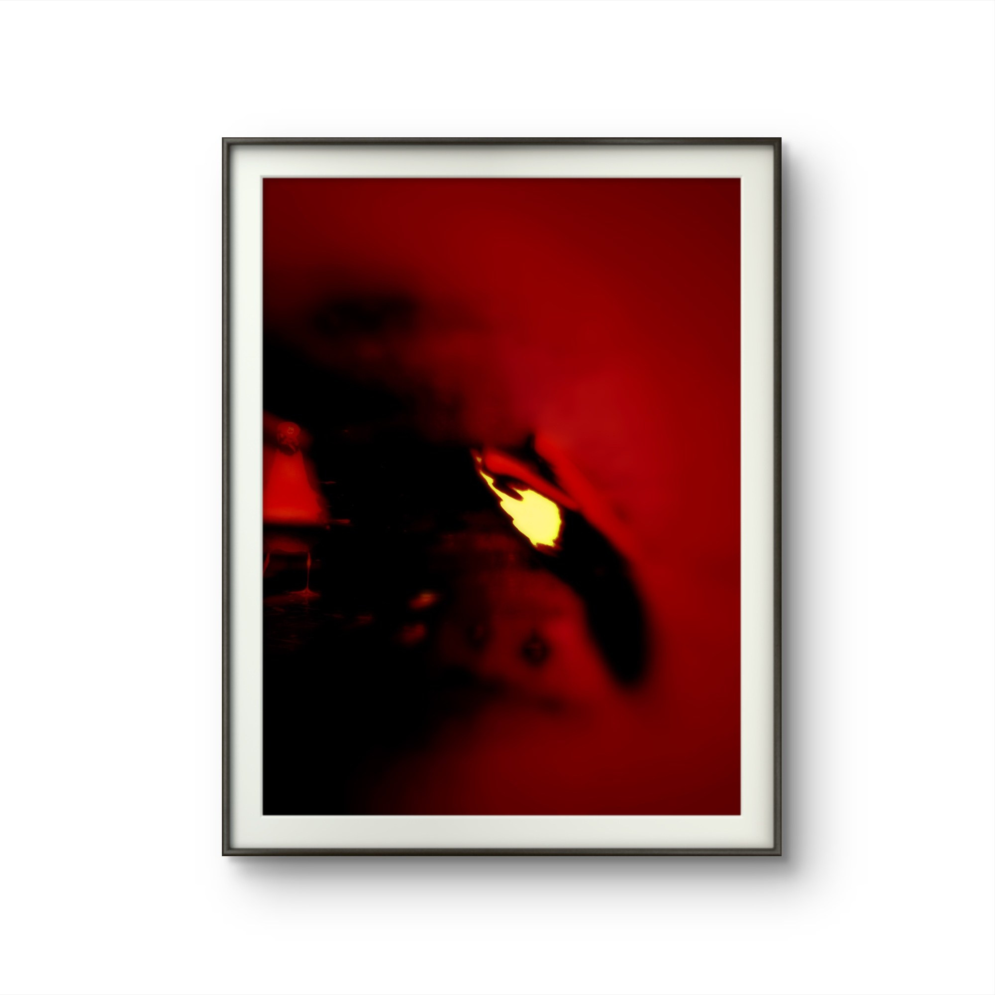 SEAGULLS. Irina Owlik — Visual Artist