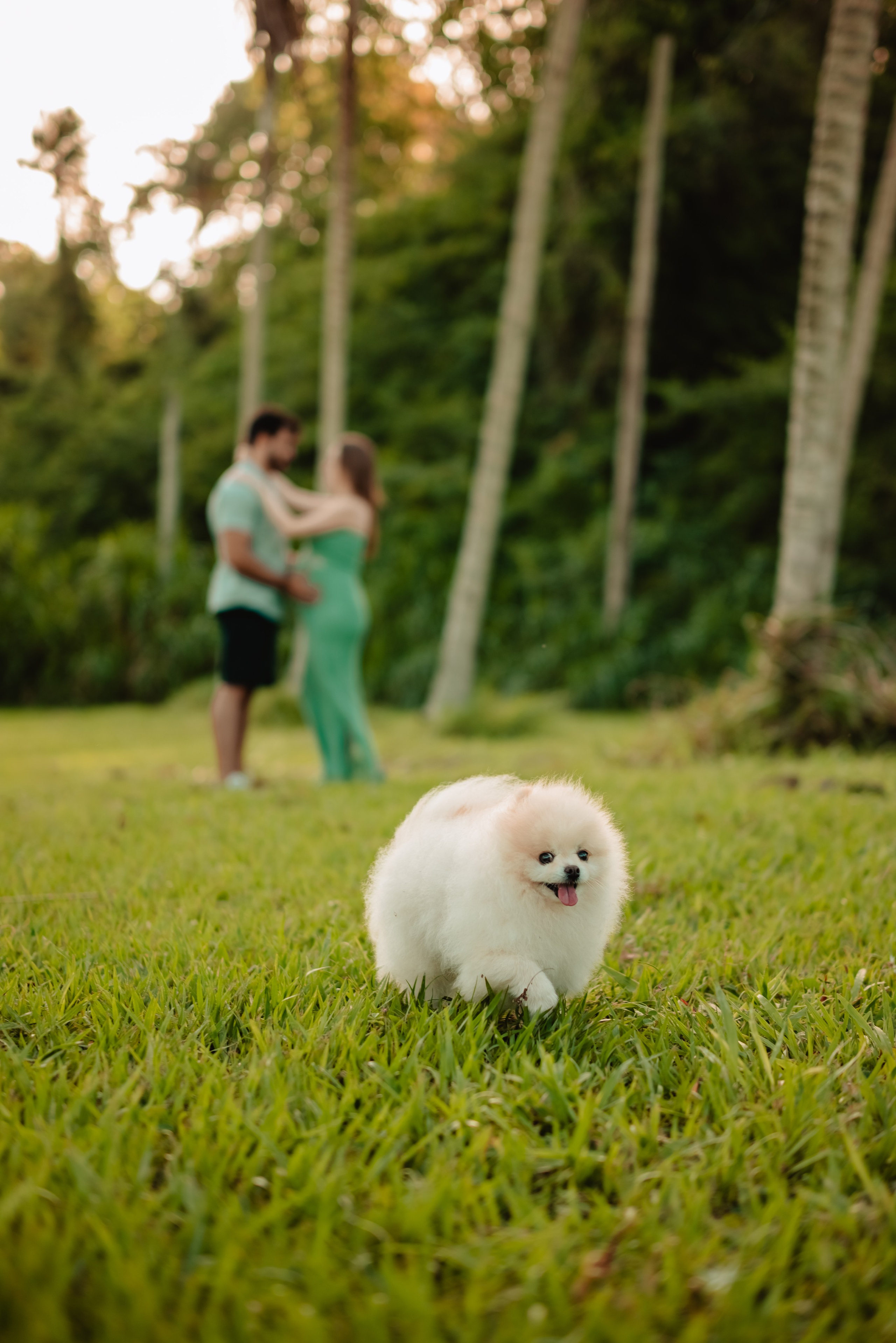 Janiny, Márcio e Thales. Fotografo de casamentos e famílias no Espirito Santo — Marllus Milanez
