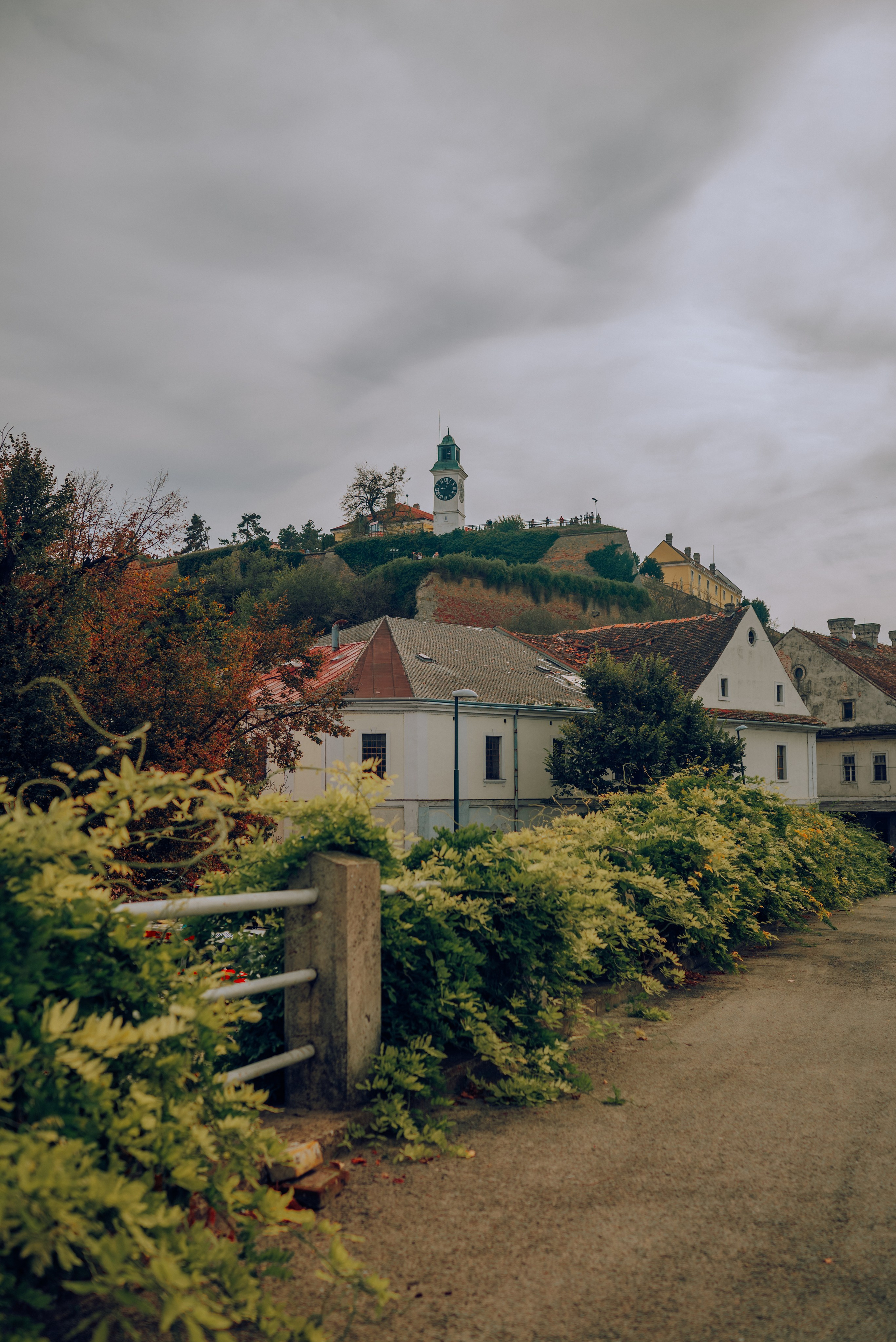 J.R.V. Семейный фотограф. Сербия. Нови-Сад. Белград