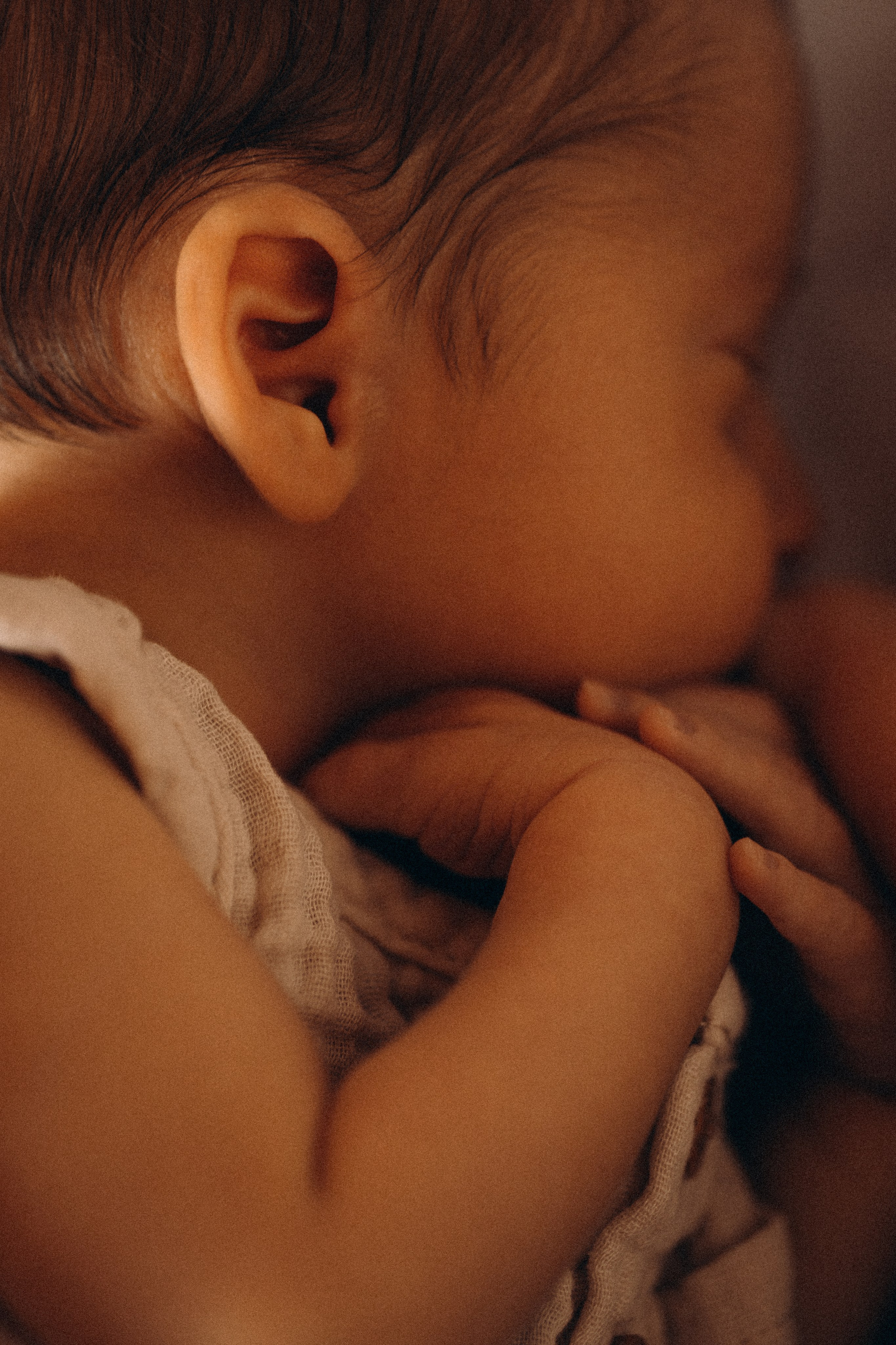 Newborn. Photographer Madeira