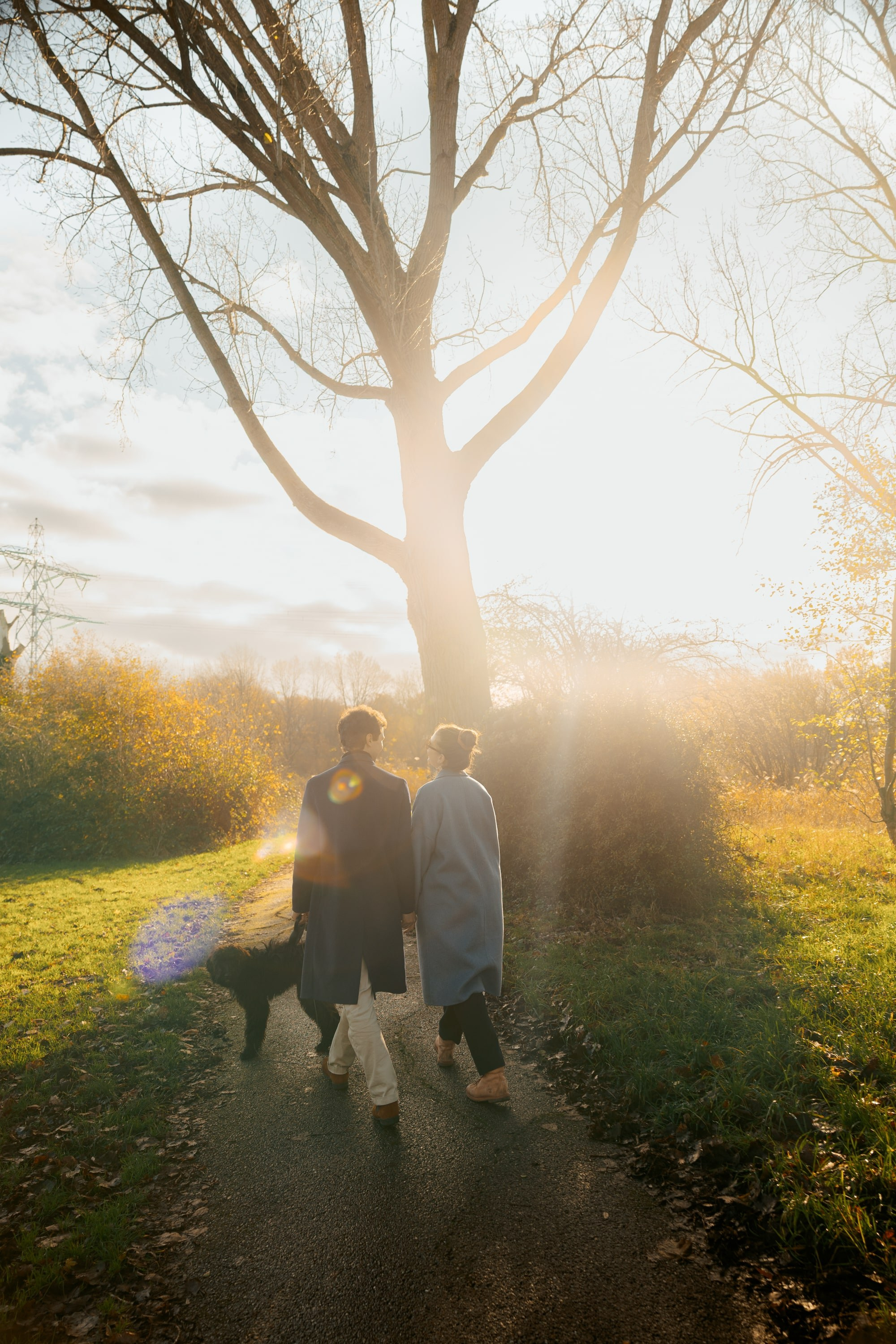 Pet Photoshoot in Spijkenisse | Rotterdam. Romantic & Soulful Photography by Natalia Olhova in Rotterdam