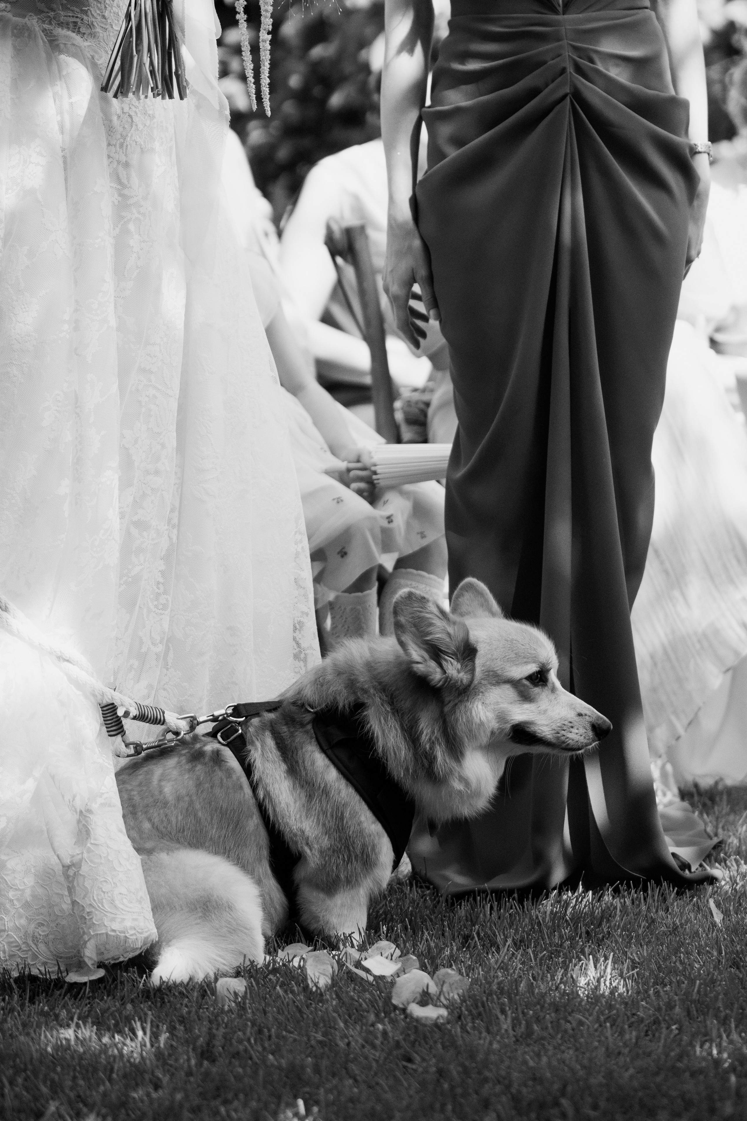 Diana x Vlad. Fotograf IrinaSpr