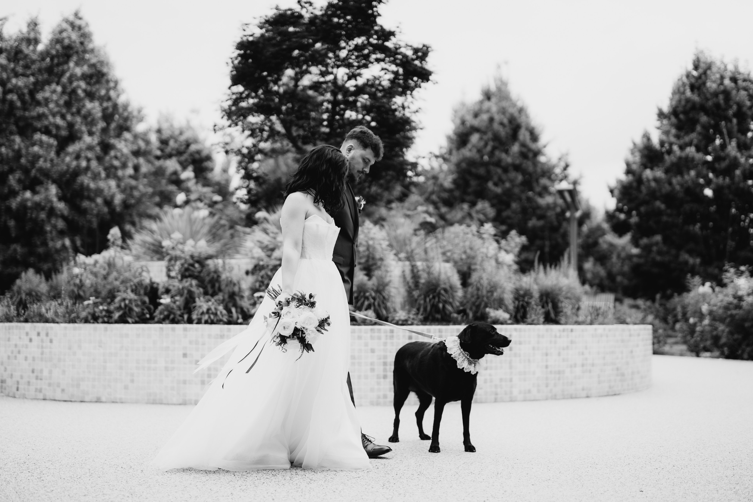 Andu x Giulia. Fotograf IrinaSpr