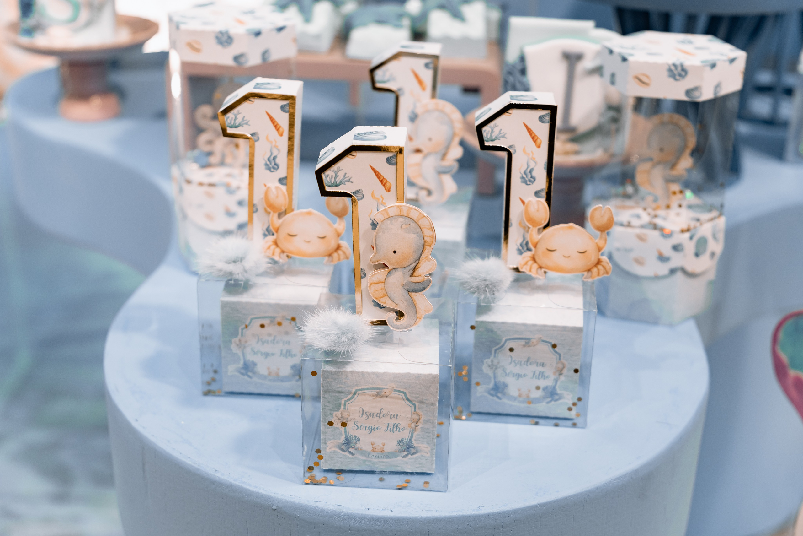 Aniversário Gêmeos - Lorena Prévias. Oh My Click - Filmes e Fotografia de Partos & Família