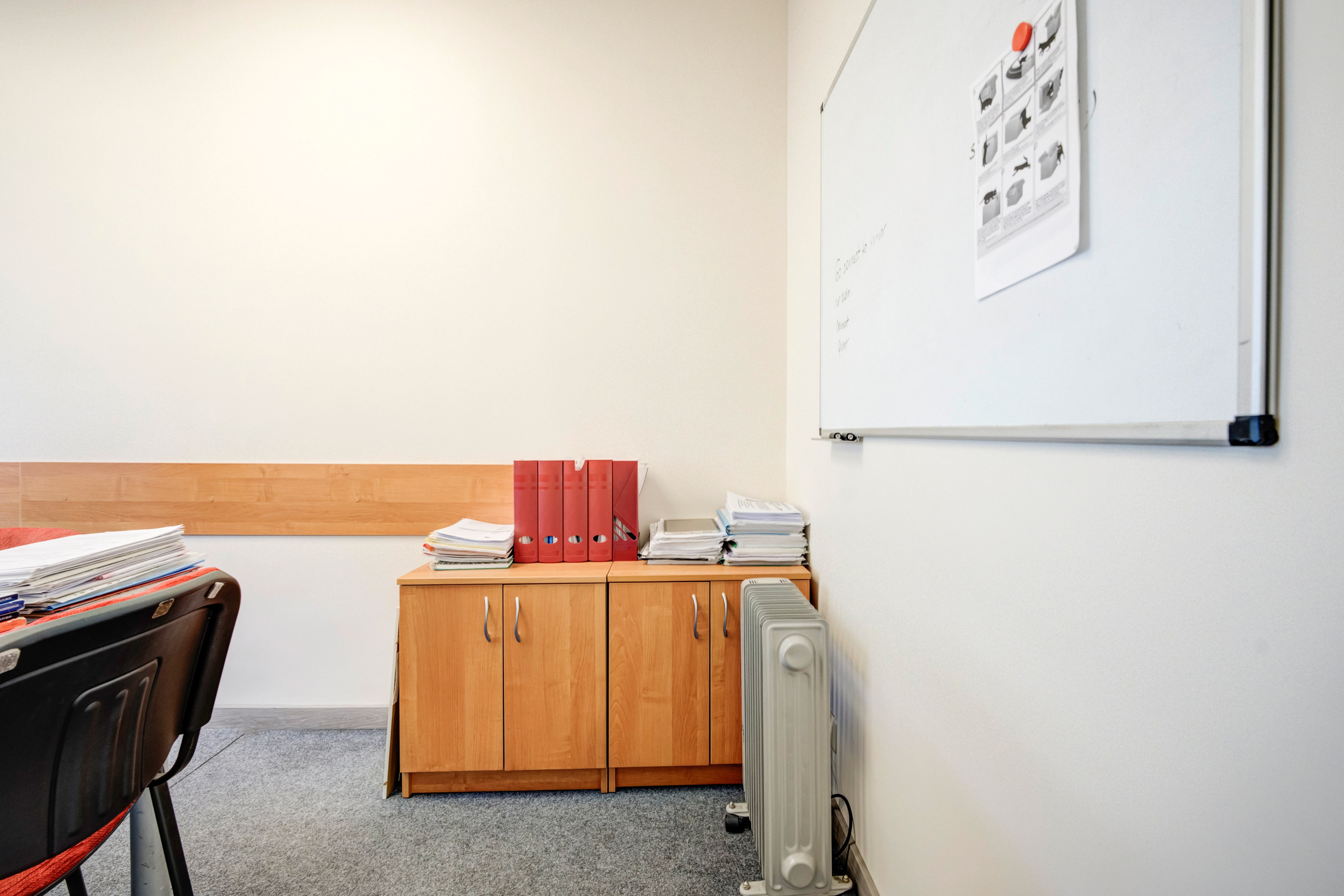 Saltoniškių g. 31. Elina Sapiega fotografė Vilniuje