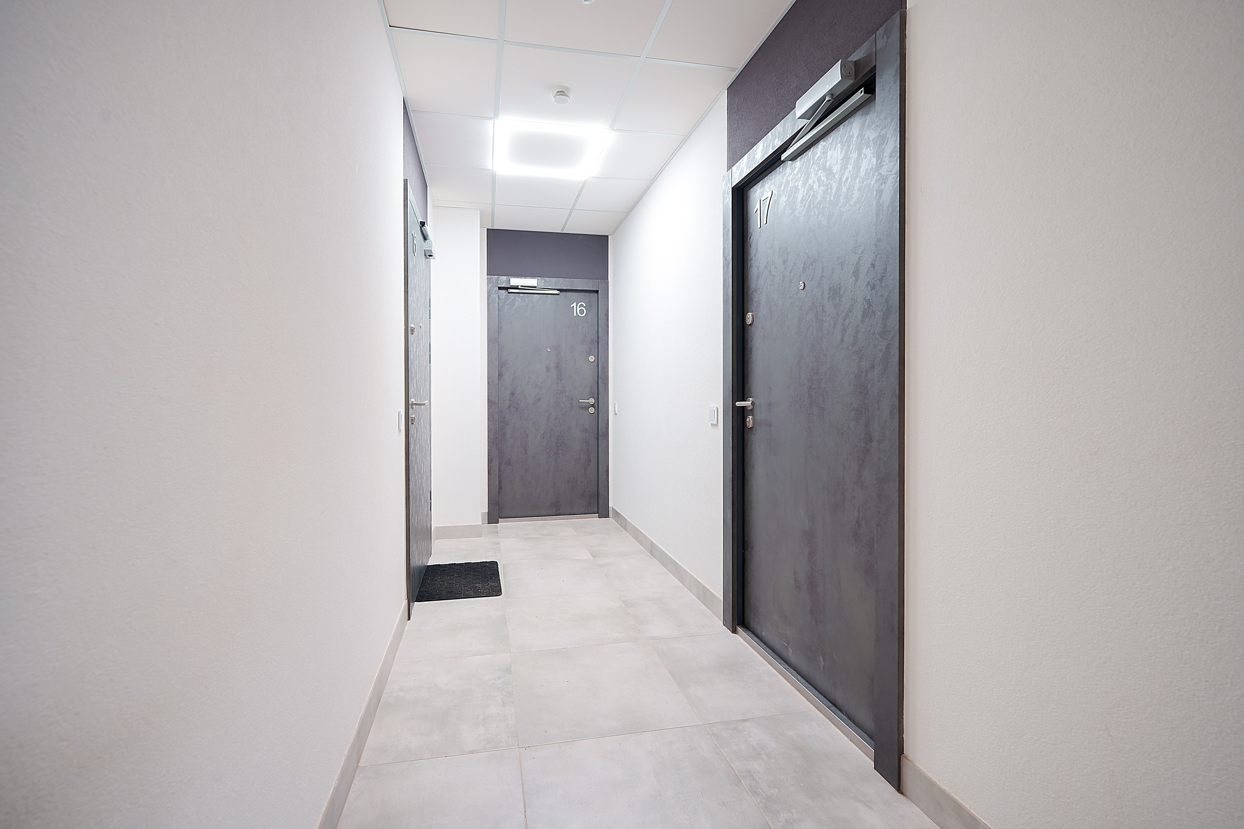 Edinburgo g. 9. Elina Sapiega fotografė Vilniuje