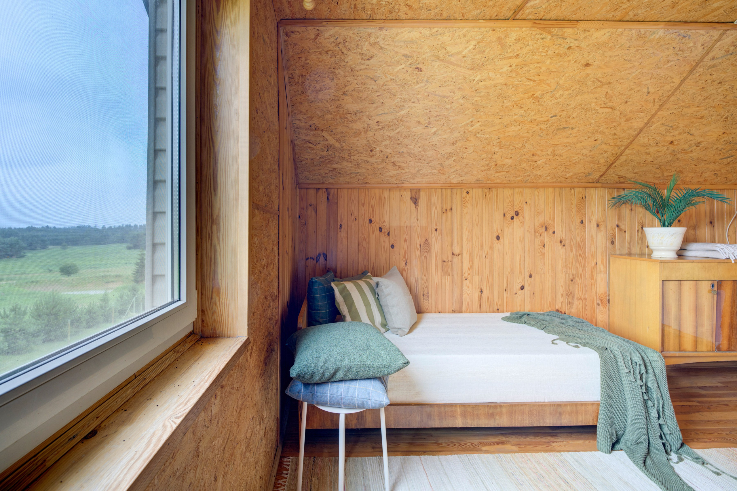 Varėnos raj. Elina Sapiega fotografė Vilniuje