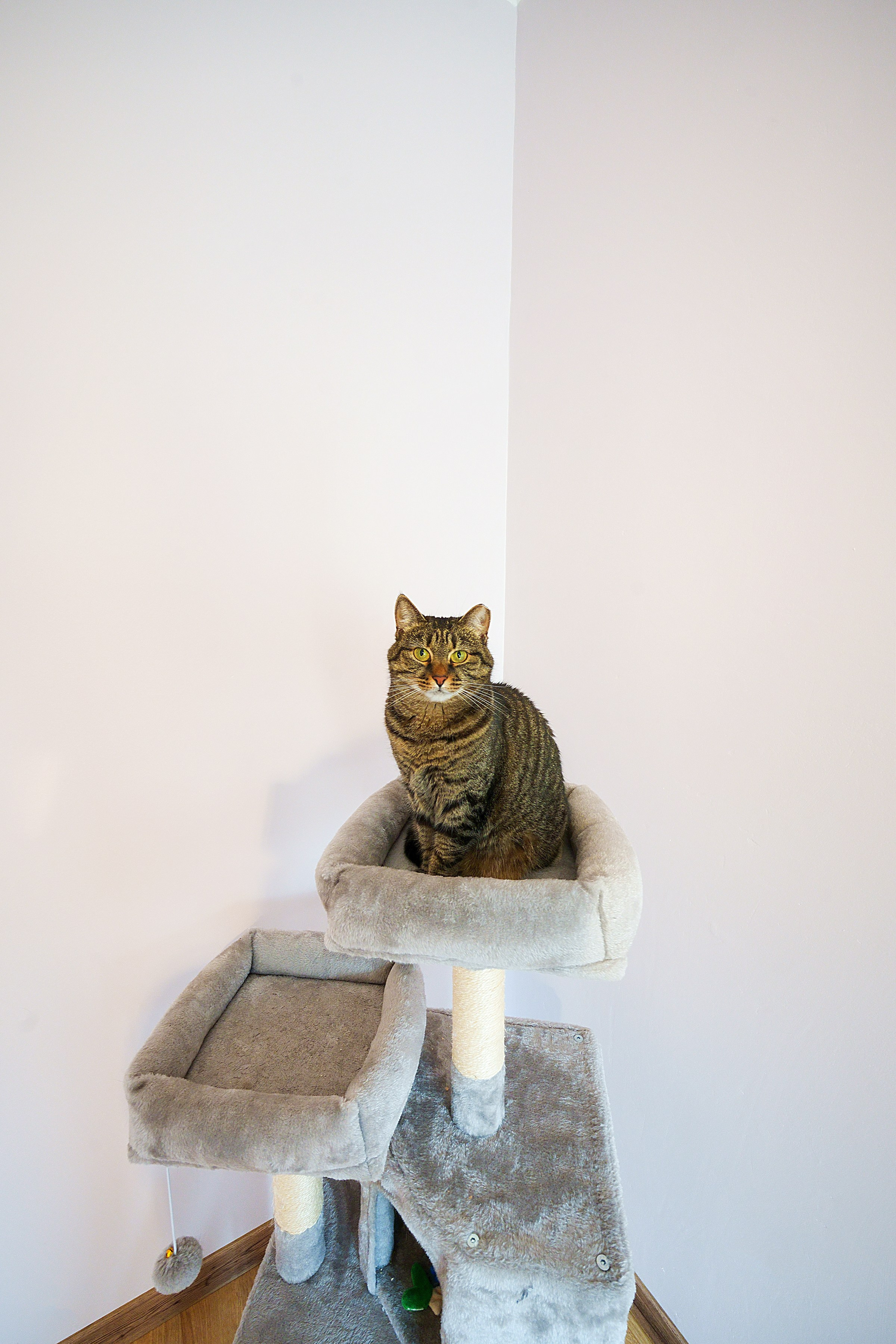 Bajorų kelias 1. Elina Sapiega fotografė Vilniuje