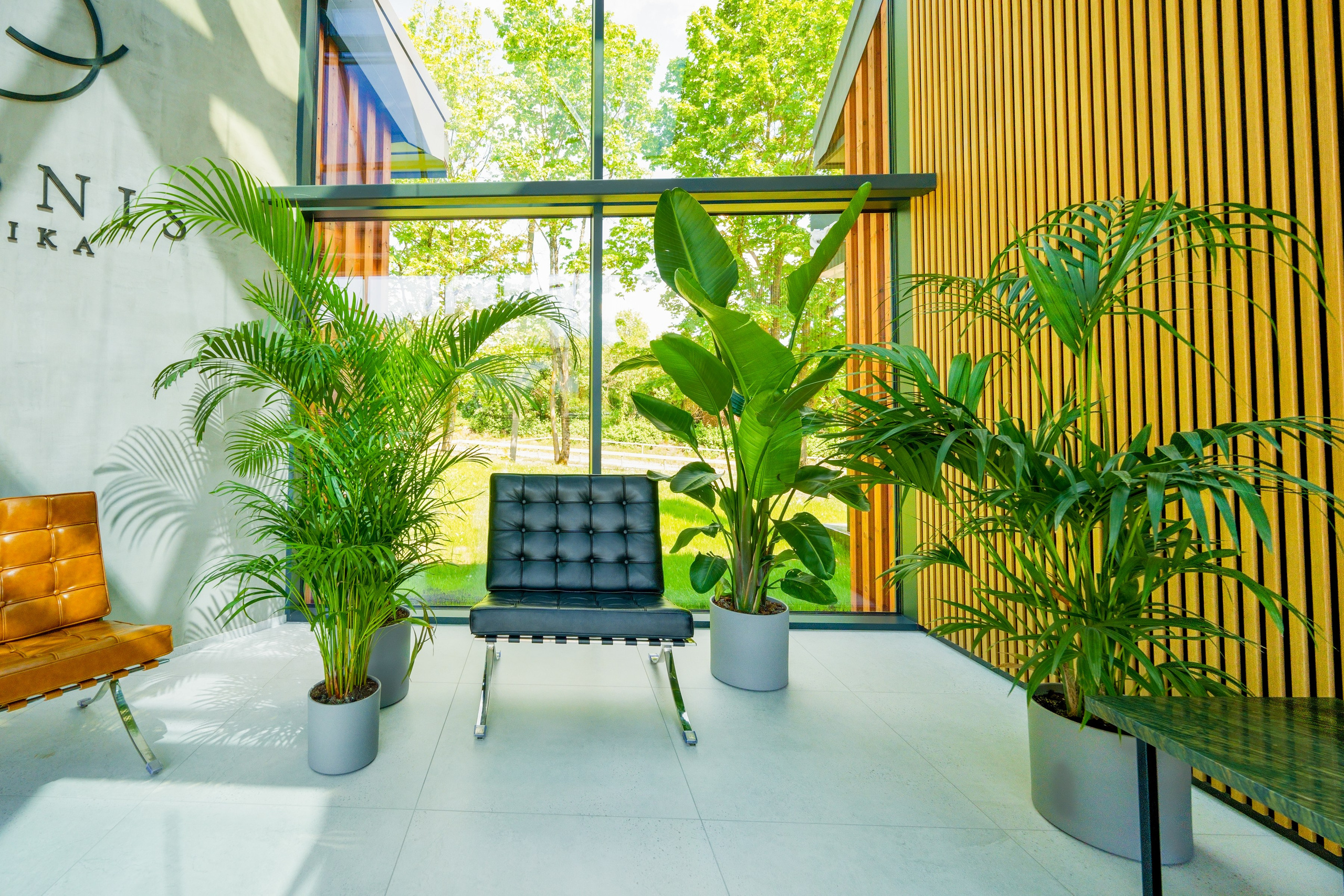 Žaliųjų ežerų g. 27. Elina Sapiega fotografė Vilniuje