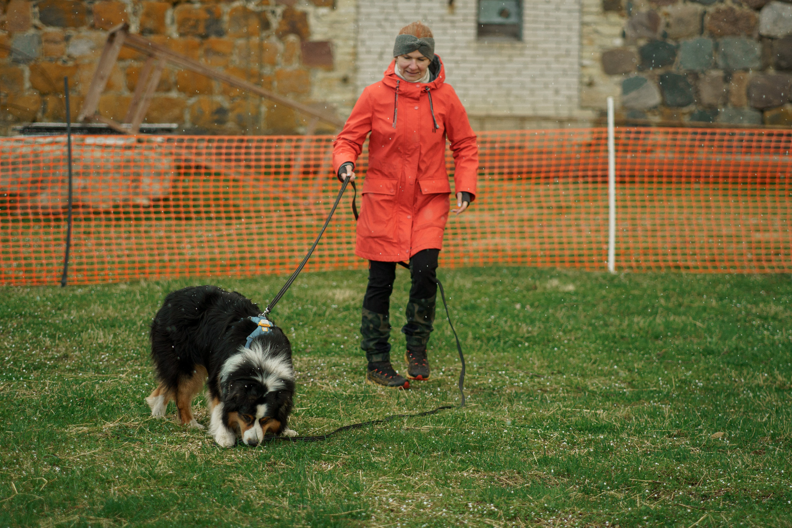 Herding Days, 26 apr. 2025. Kat Laisaar — Pet photographer in Tallinn