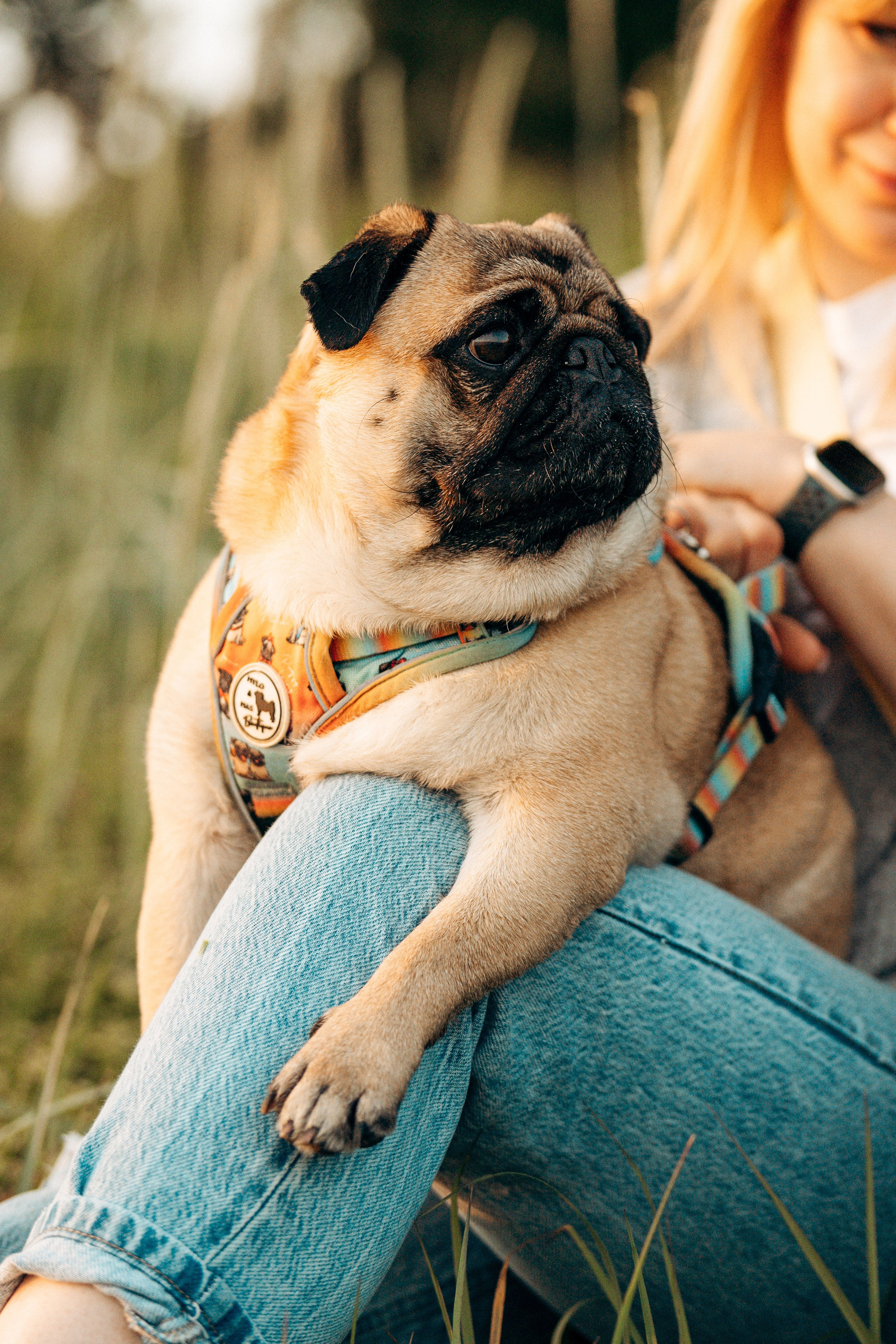Frank, Tony, Katerina & Lev. Kat Laisaar — Pet photographer in Tallinn