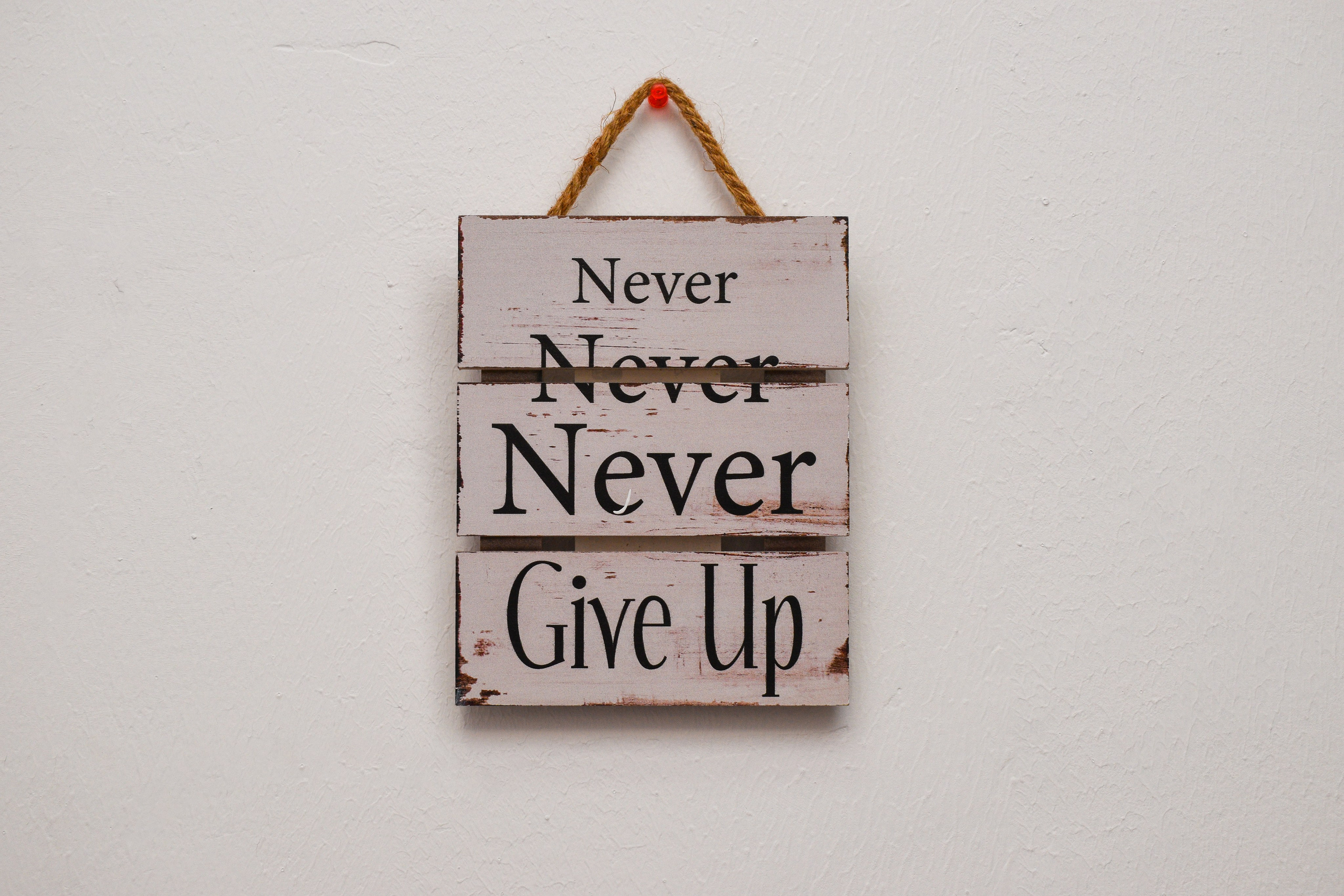 Love in English. Adelinne