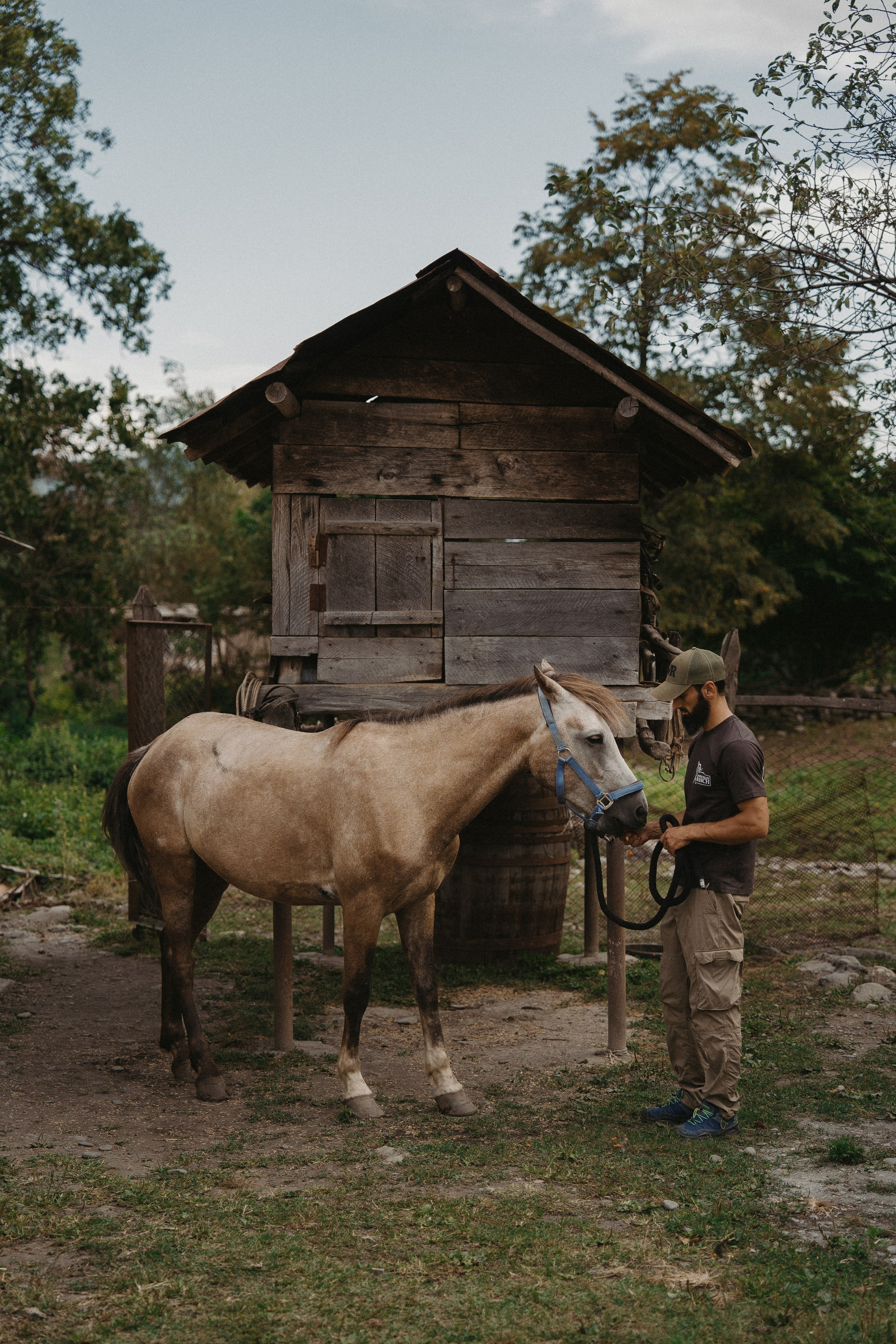 Ранчо. Фотограф и travel-блоггер Александра Гриценко