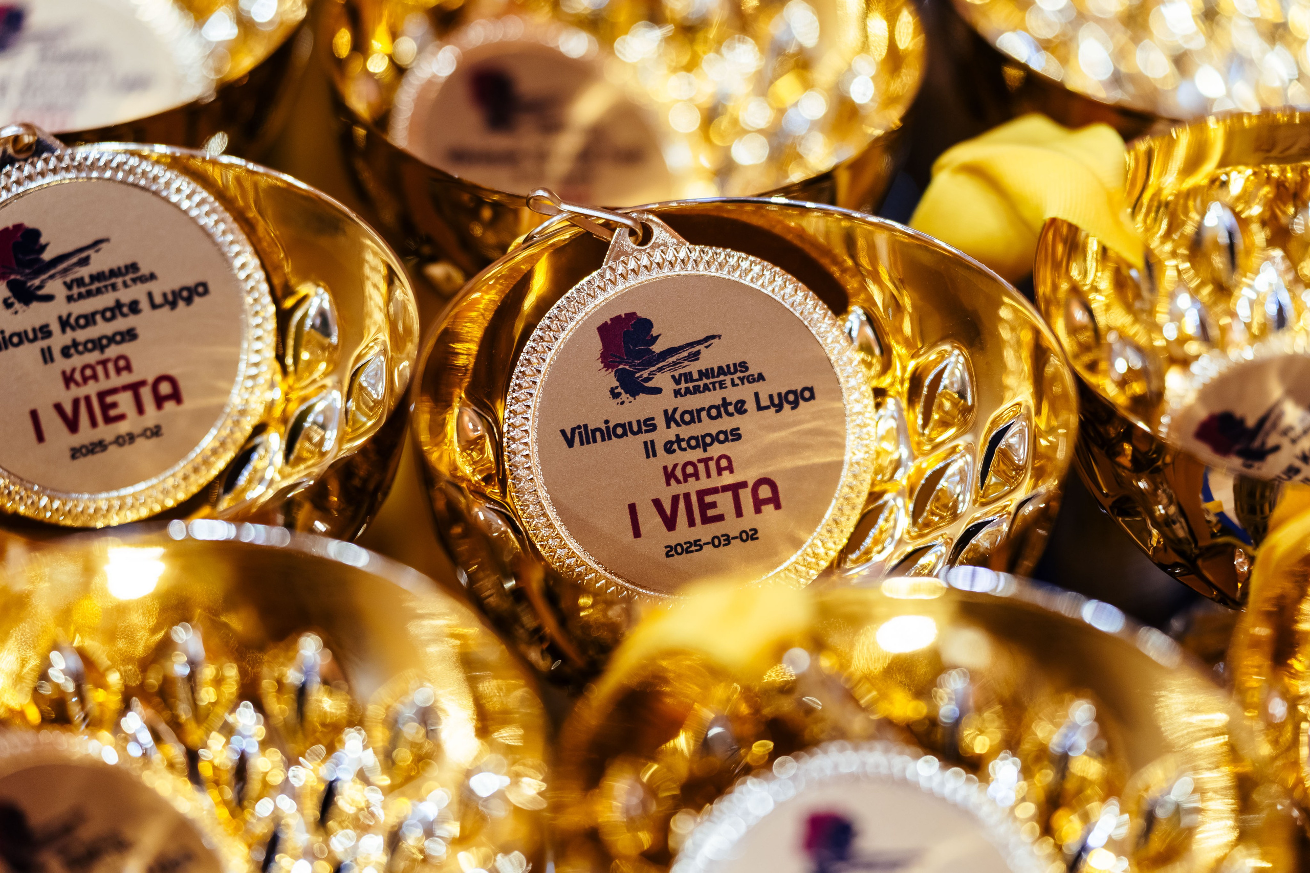 Vilniaus Karate Lyga II Etapas. OnePIXEL