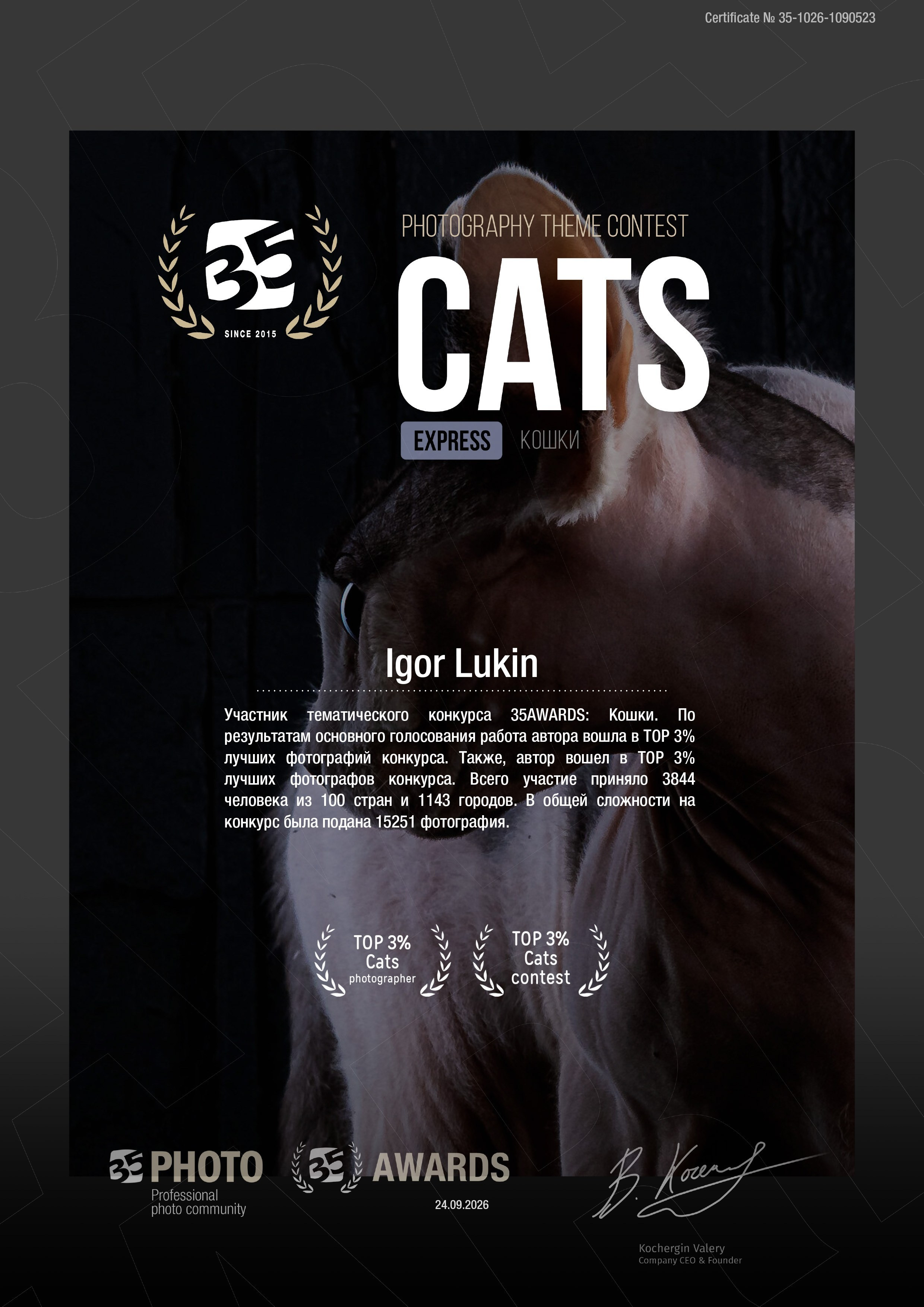 КОШКИ. LUKIN IGOR Photography