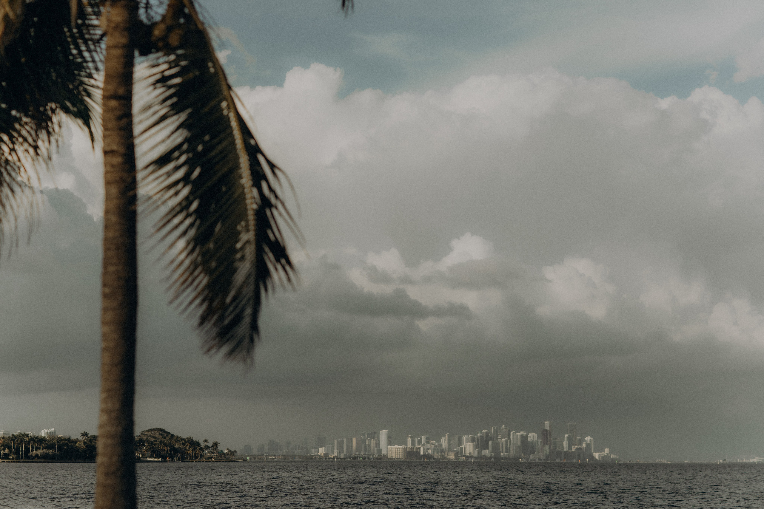 Max & Kristina (FL). CAPTURED BY SHANKS PHOTOGRAPHY