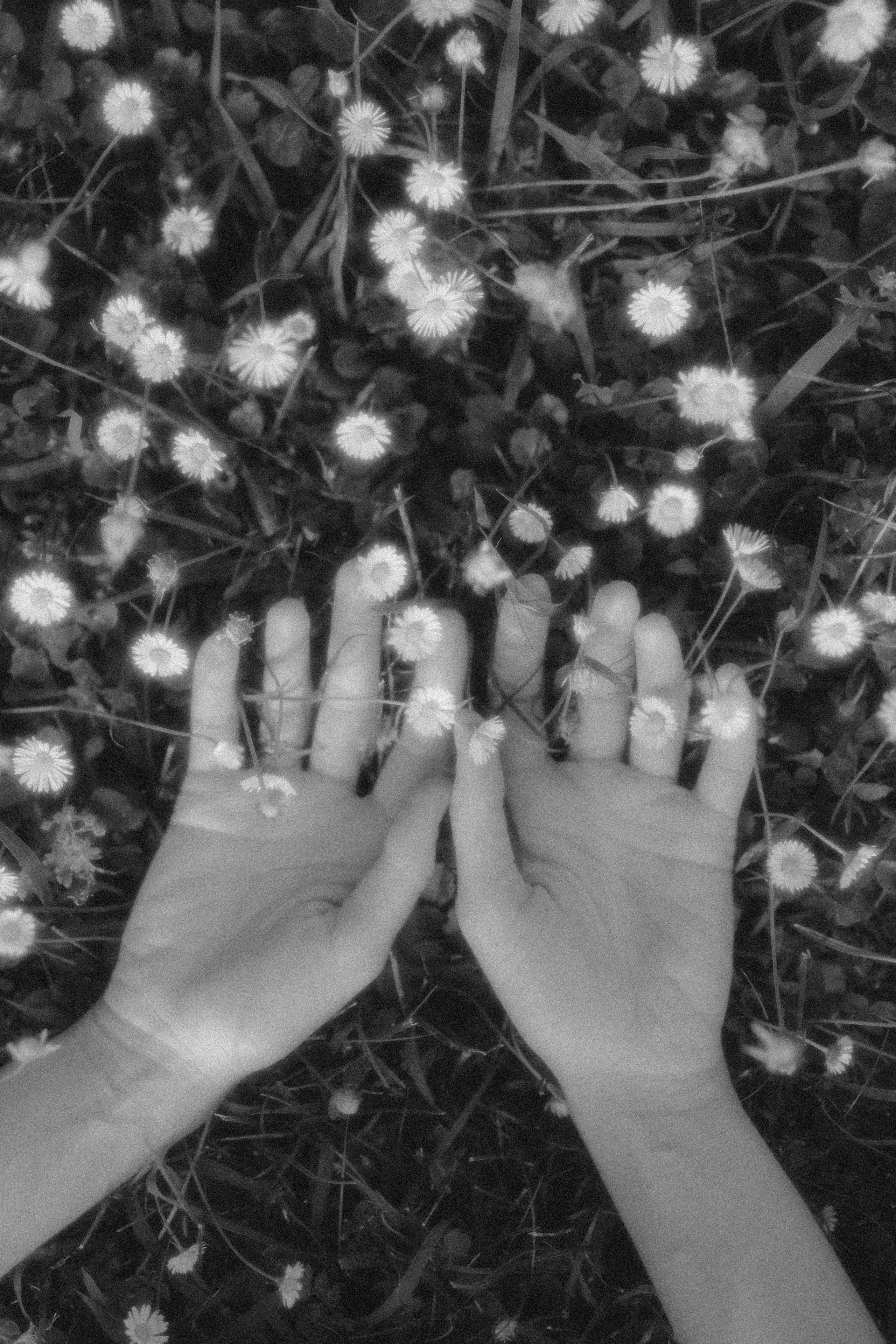 Катя с лилией. Фотограф Мила Ромашкина