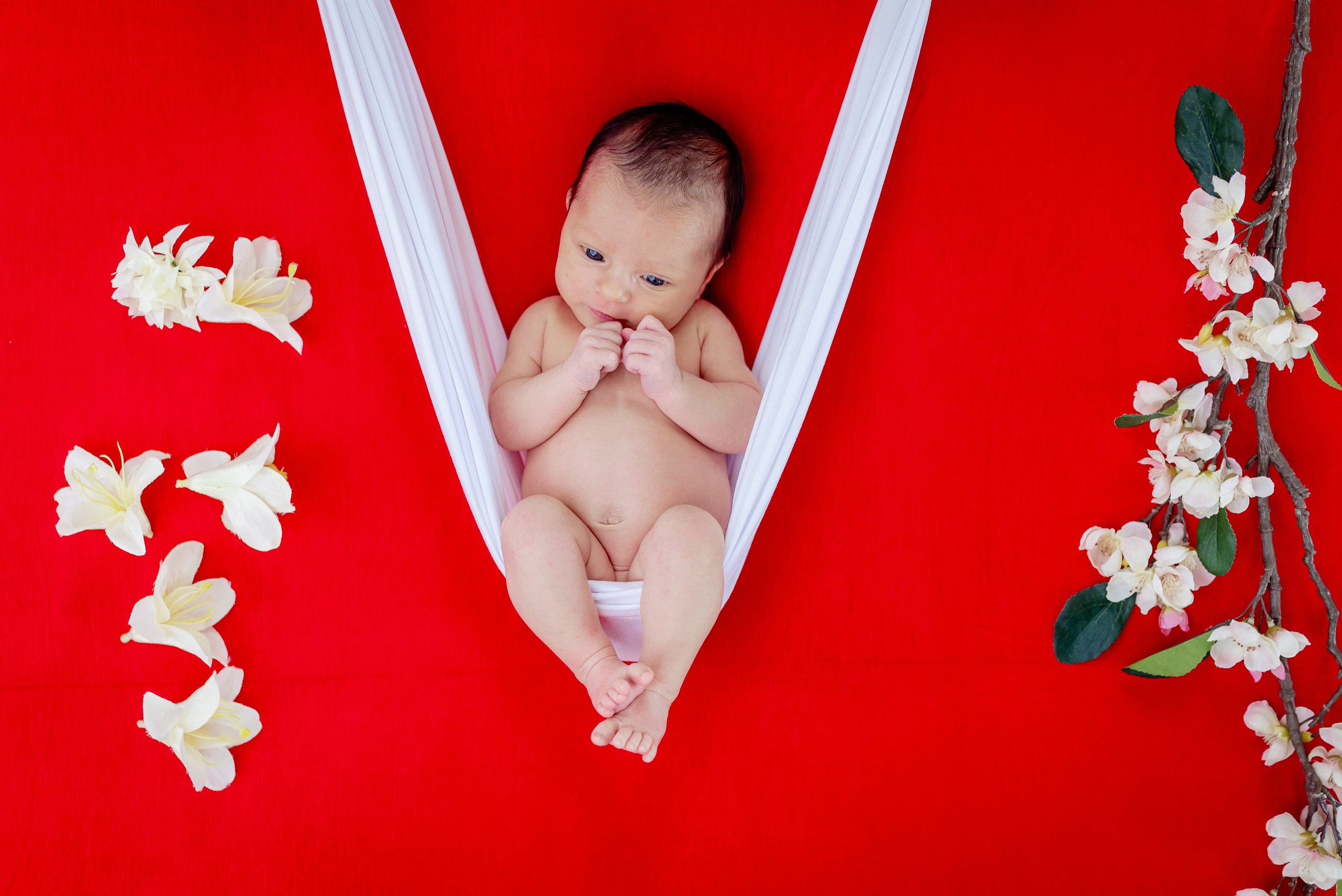 Teodora. The Unseen by Giani Maftei