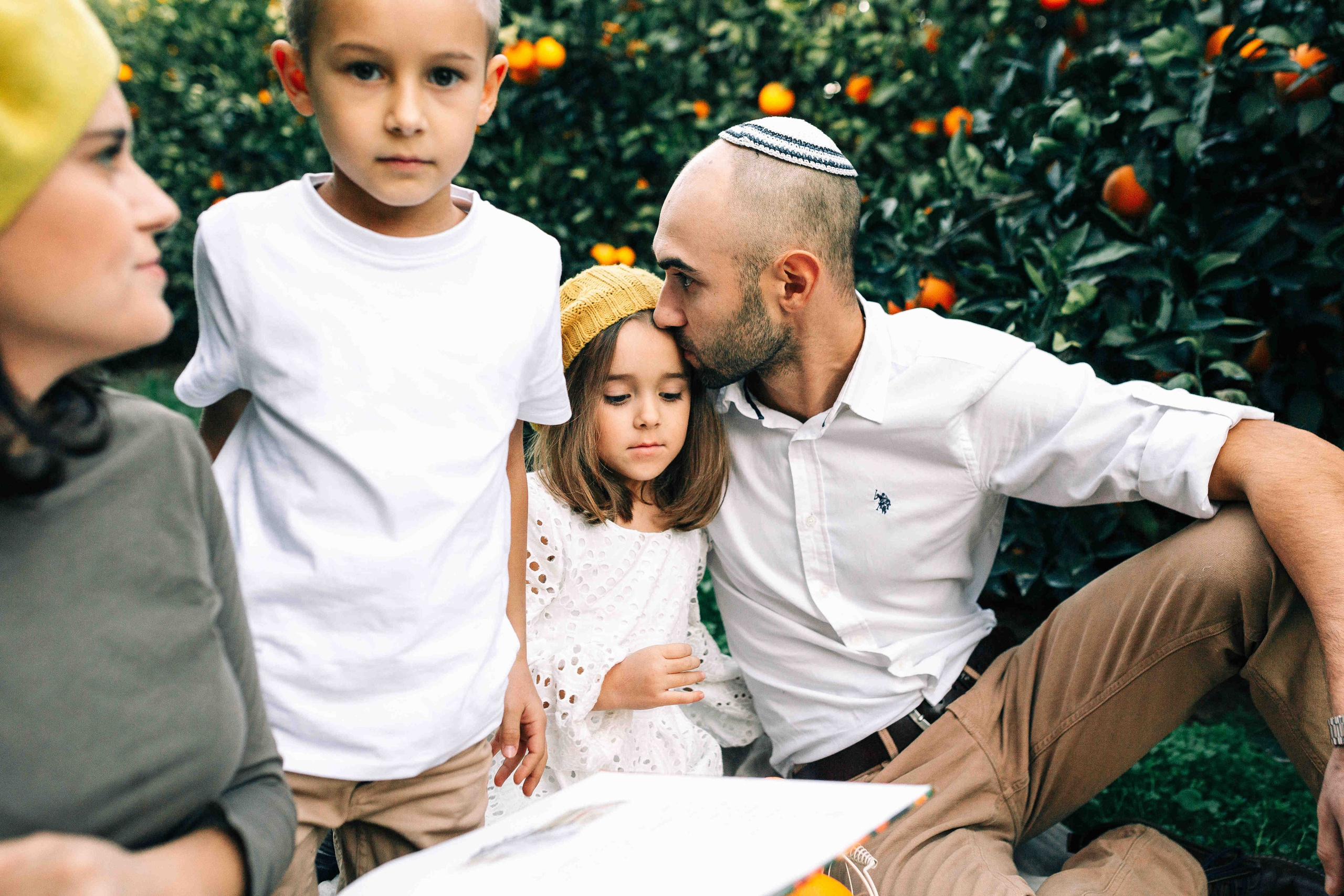 MANDARNINE GARDEN. Https://shi-photo.com/