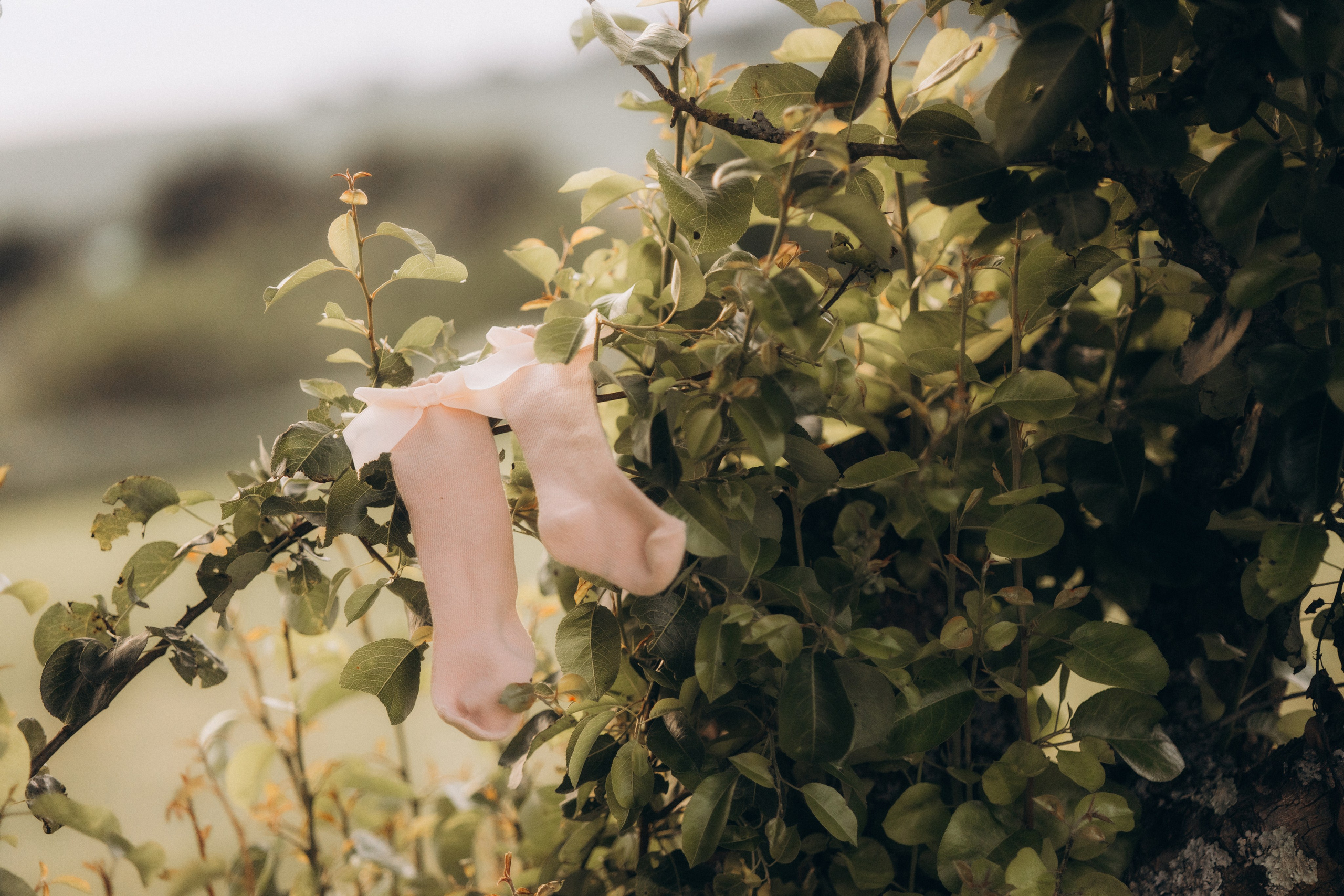 Liebe wächst. Julia Sööt Fotografie